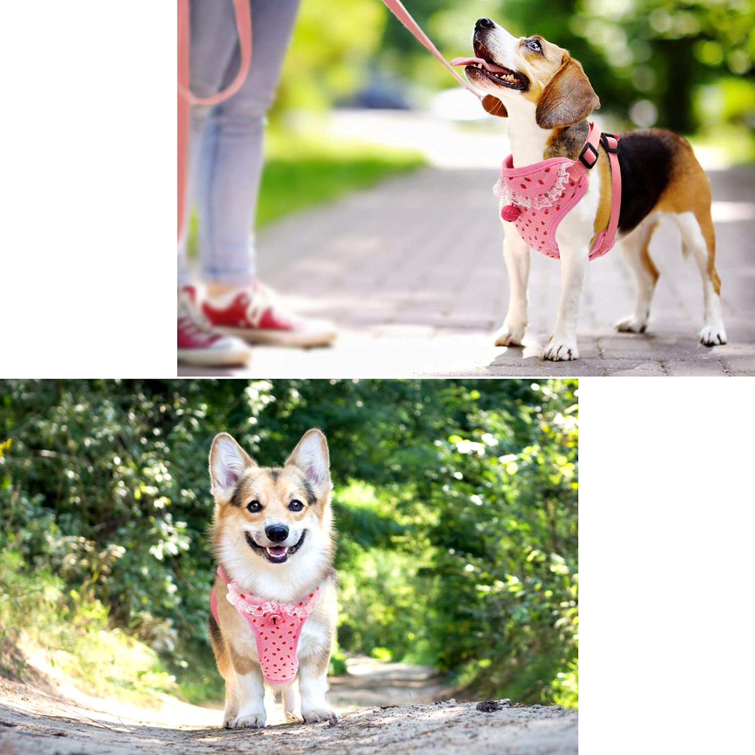 Bark Lover Small Puppy Harness With Bowtie, Adjustable Dog Vest Mesh Tuxedo Harness For Small Dog Kitten, Perfect For Party Wedd