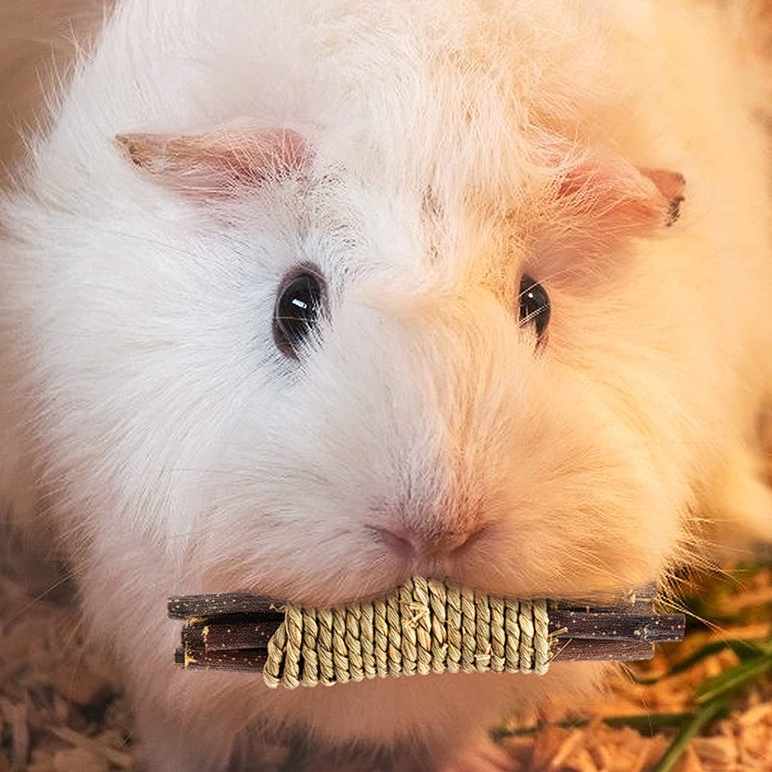 Dbeans Flourithing Rabbit Toys, 3 Types Natural Hamster Chew Toys For Teeth Grinding, Improve Dental Health, Best Bunny Toys For Rabbits, Guinea Pigs, Chinchillas, Hamsters