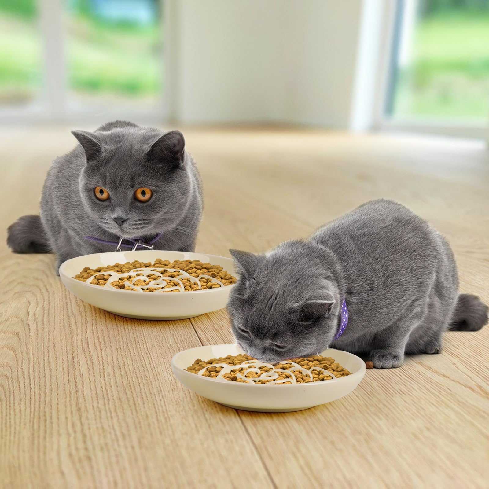 Lfpkixise Slow Feeder Cat Bowl Set of 2, Ceramic, Whisker Friendly, Anti-Vomiting, Cream, Model SL-bowls-0717-02
