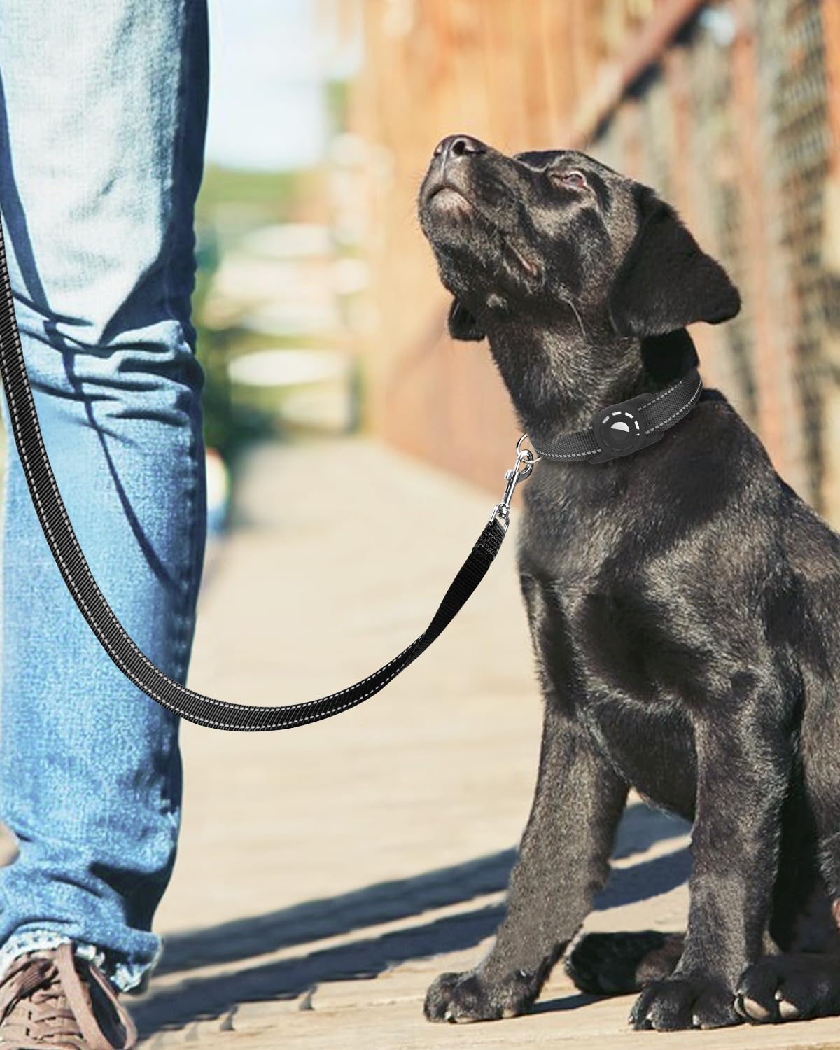 Erbine 6FT Reflective Nylon Dog Leash with Soft Padded Handle for Walking, Running and Training, Supports Small Medium and Large