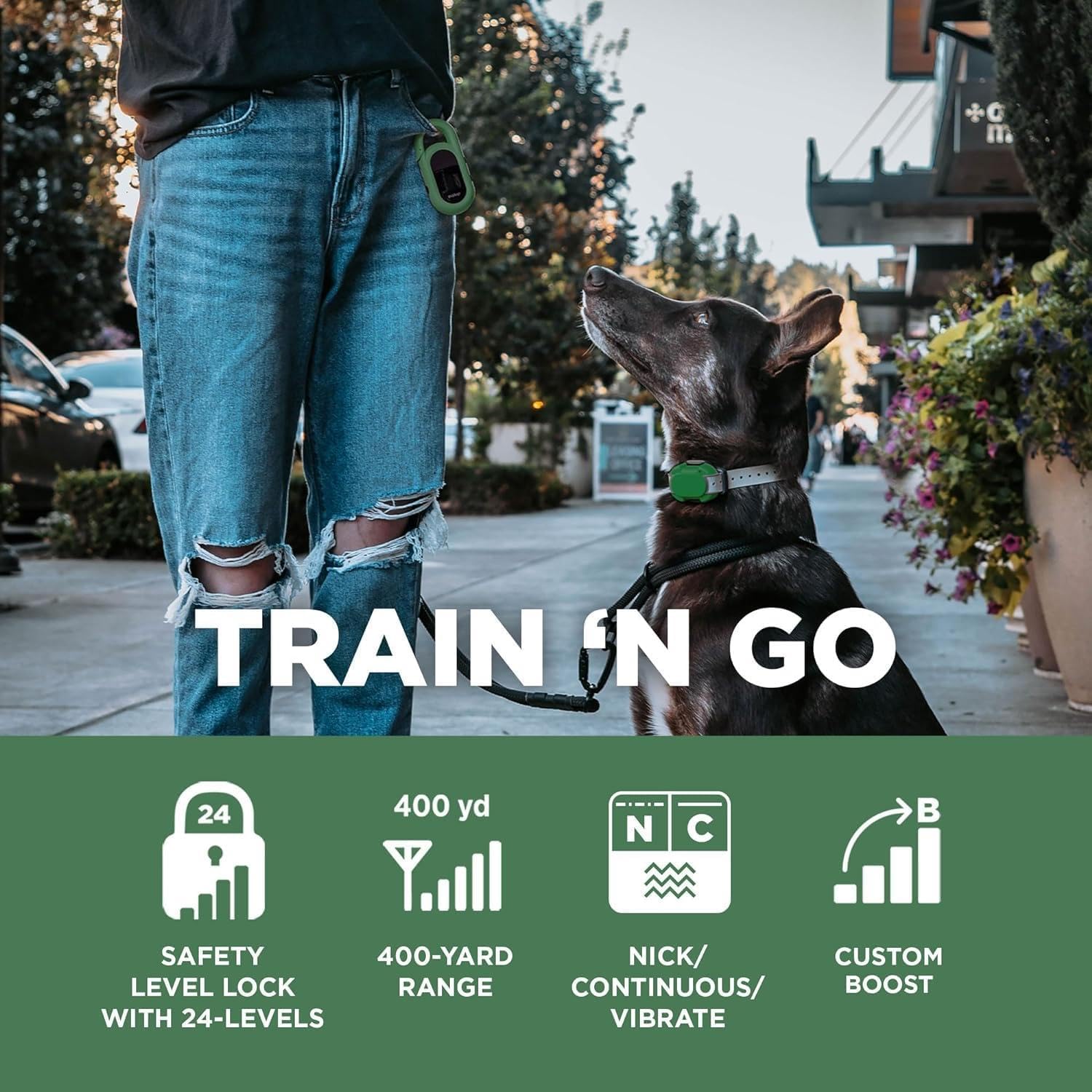 Dogtra Cue Green - E-Collar For Dogs Training Collar With Remote - Training Made Easy For Everyday Dog Owners - Gentle Vibration