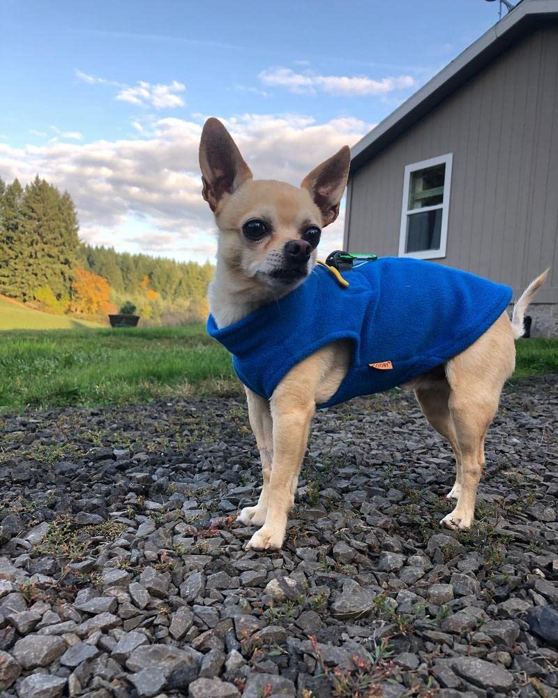 Gooby - Zip Up Fleece Vest, Fleece Jacket Sweater With Zipper Closure And Leash Ring, Blue, X-Large