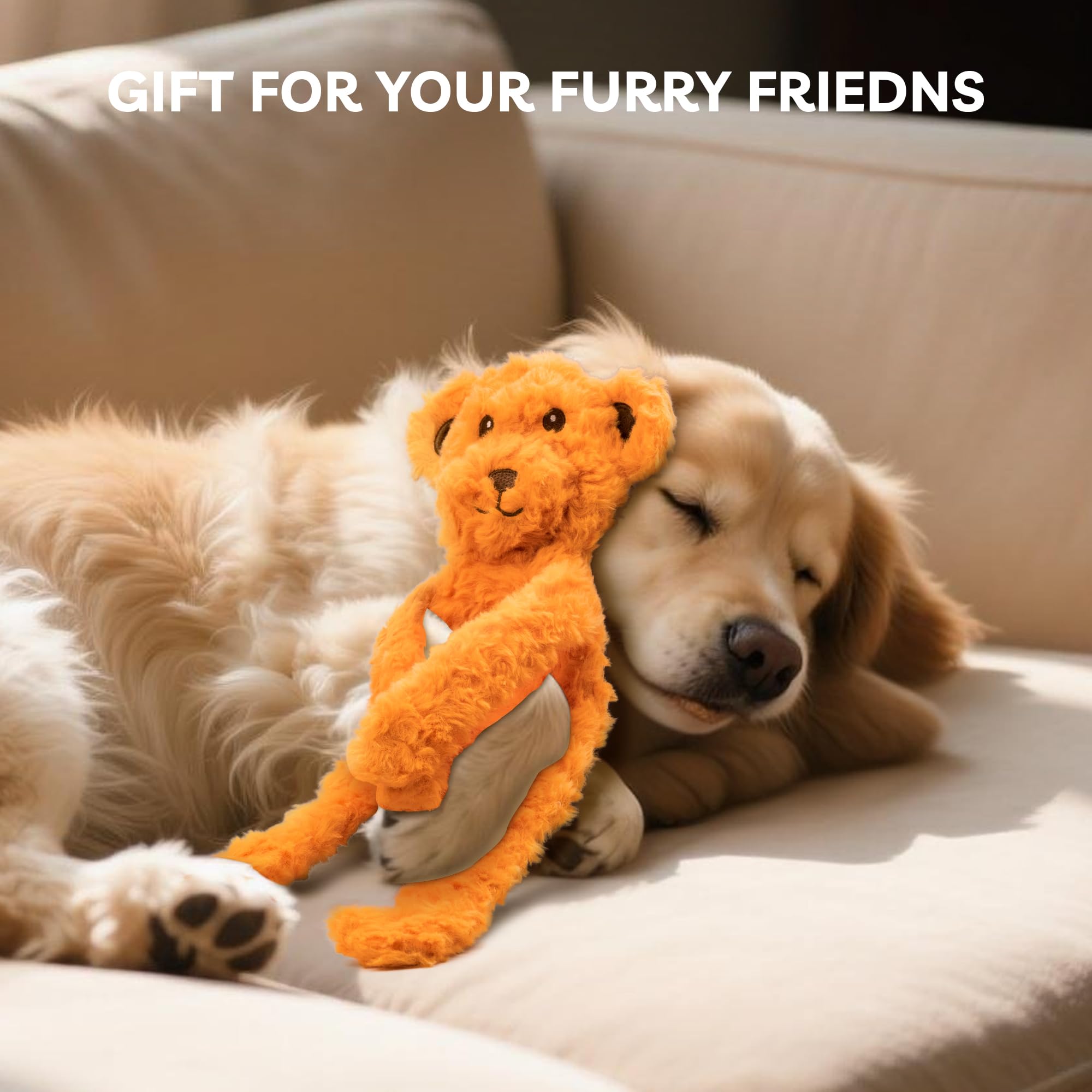 SHARLOVY No Stuffing Dog Toys 5 Pack, Crinkle Interactive Dogs Toy for Boredom, Puppy Toys for Teething to Keep Them Busy, Cute