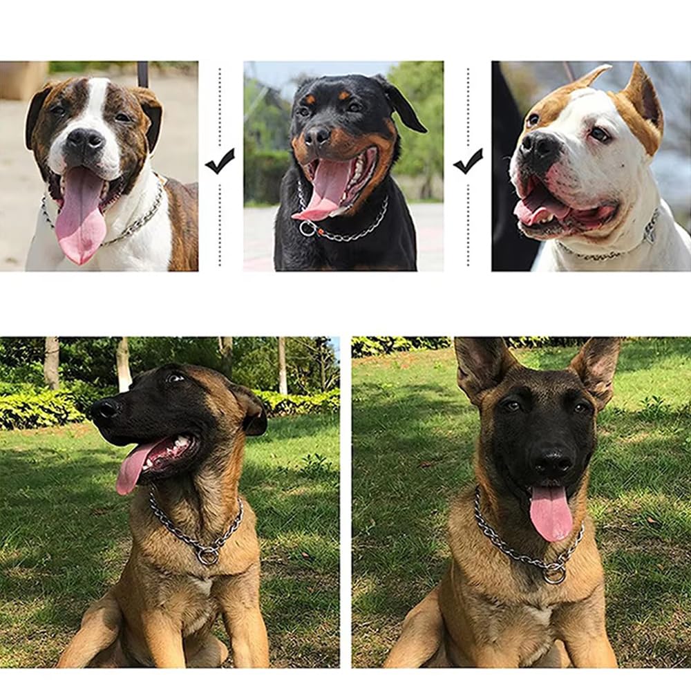 Silver Chain Dog Collars For Large Dogs,Heavy Duty Training Collar For Dogs Metal Slip P Link Martingale Collars Puppy Chain For