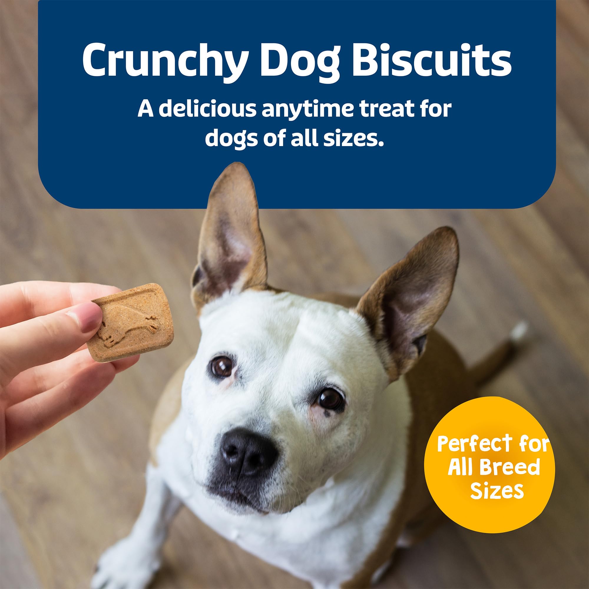 Blue Buffalo Health Bars Natural Crunchy Dog Treats Biscuits, Banana & Yogurt 16-oz Bag