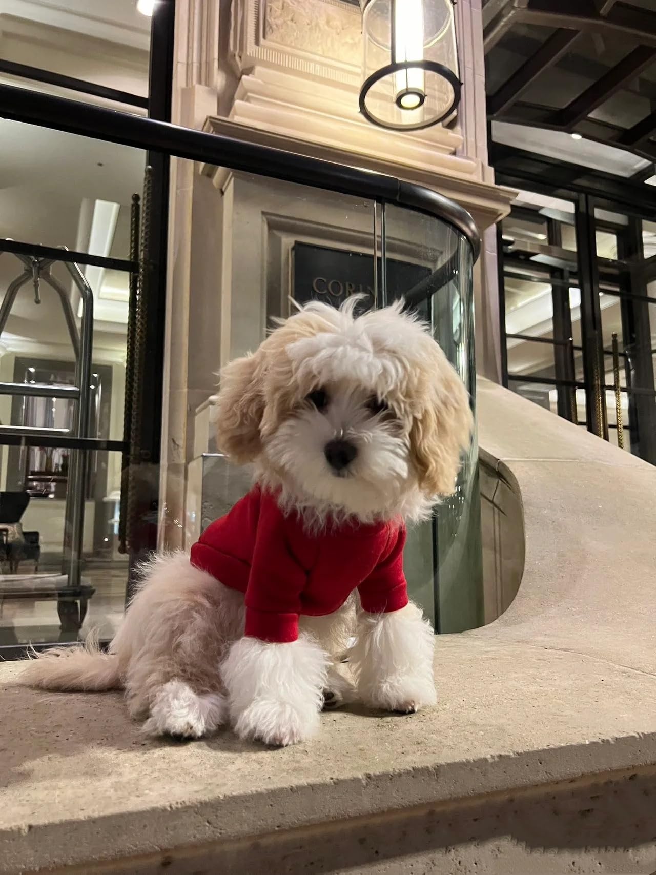 2-Piece Soft Dog & Puppy Sweater - Warm & Cute Winter Outfit For Small Dogs & Cats (Red+Blue, Medium)