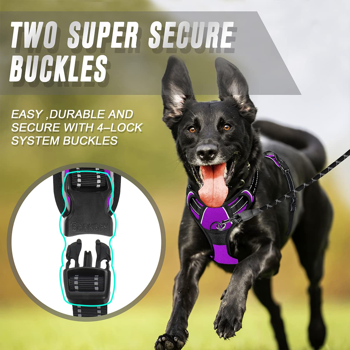 Barkbay No Pull Dog Harness Front Clip Heavy Duty Reflective Easy Control Handle For Large Dog Walking(Purple,M)