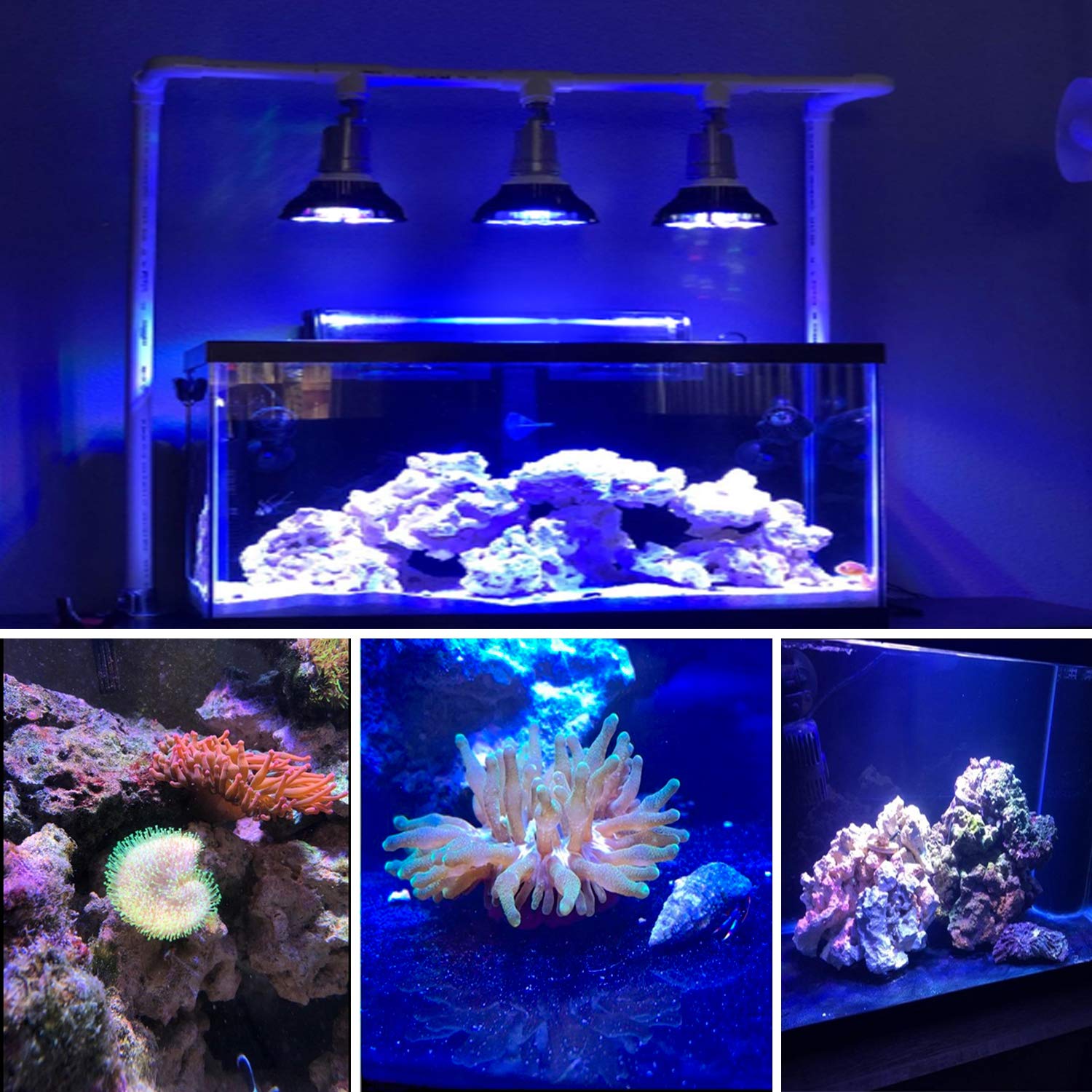 Kingbo Led Aquarium Plant Light Bulb, 18W Refugium Light Aquarium Plant Lights Fish Tank Bulb With 6 Band Full Spectrum For Coral Reef Saltwater Tank Plants Growth