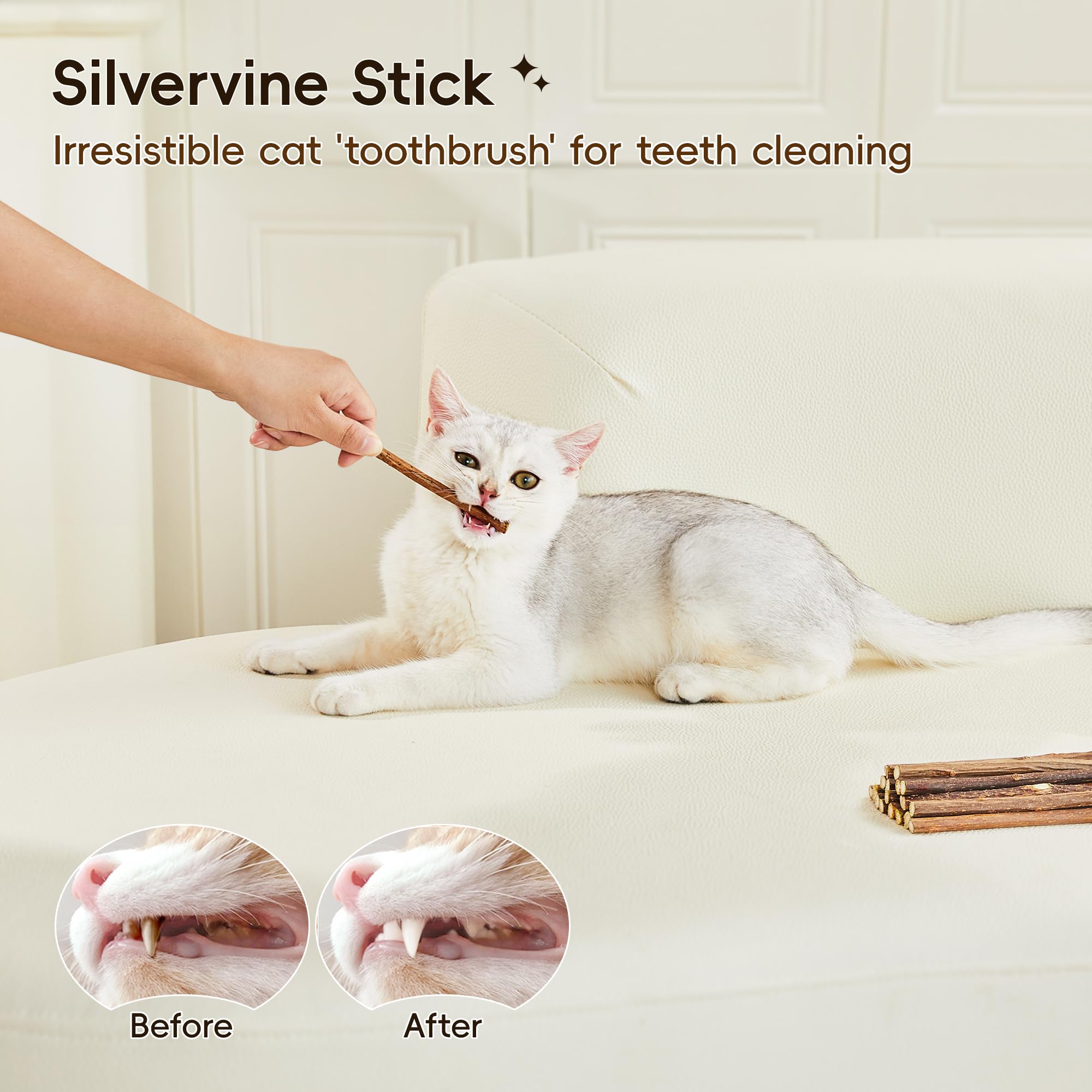 Potaroma Natural Catnip Silvervine Gall Fruit Cat Toys Set With Plush Shell, Organic Kitten Toys For Relaxing And Teething, Inte