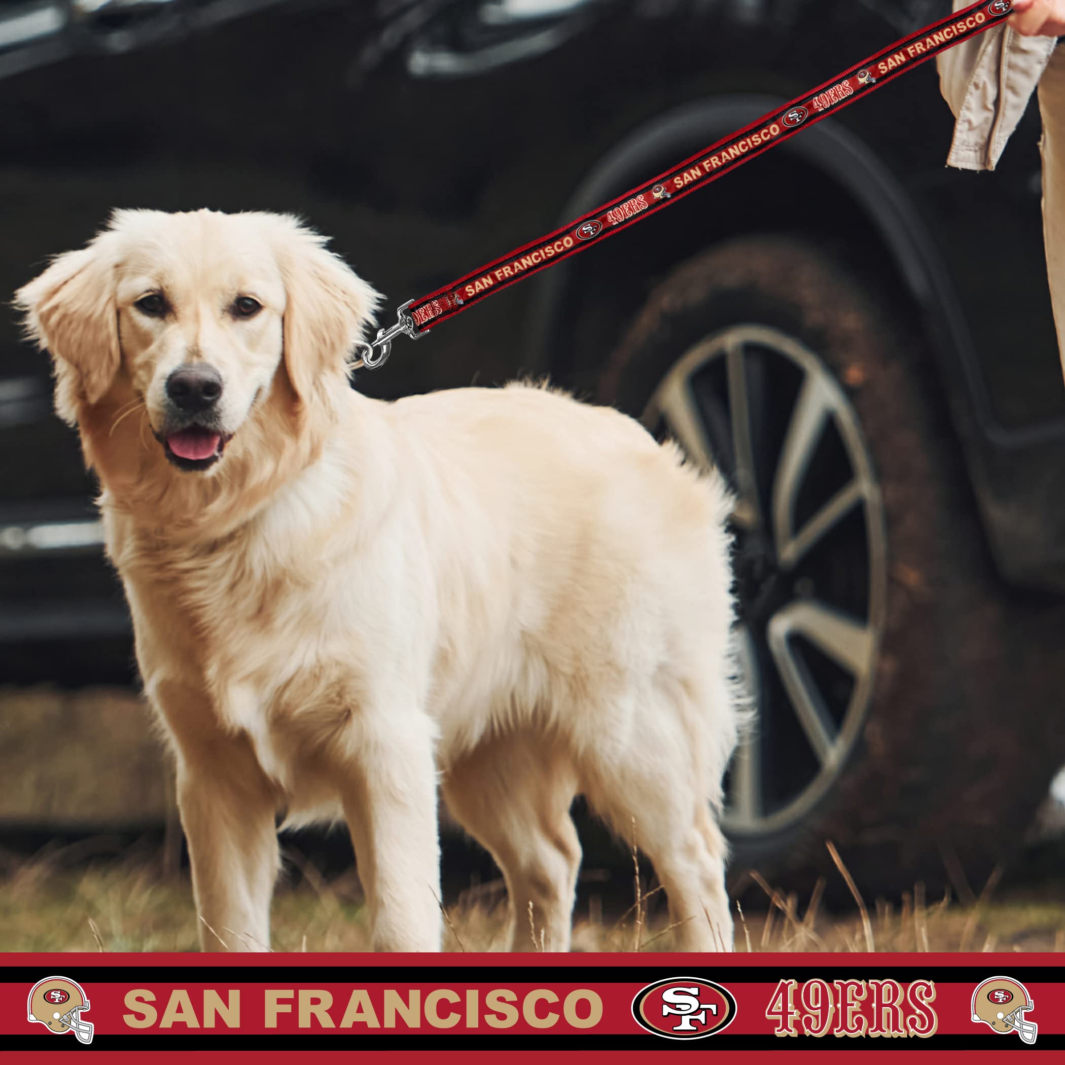 Nfl Pet Leash San Francisco 49Ers Dog Leash, Medium Football Team Leash For Dogs & Cats. A Shiny & Colorful Cat Leash & Dog Leas