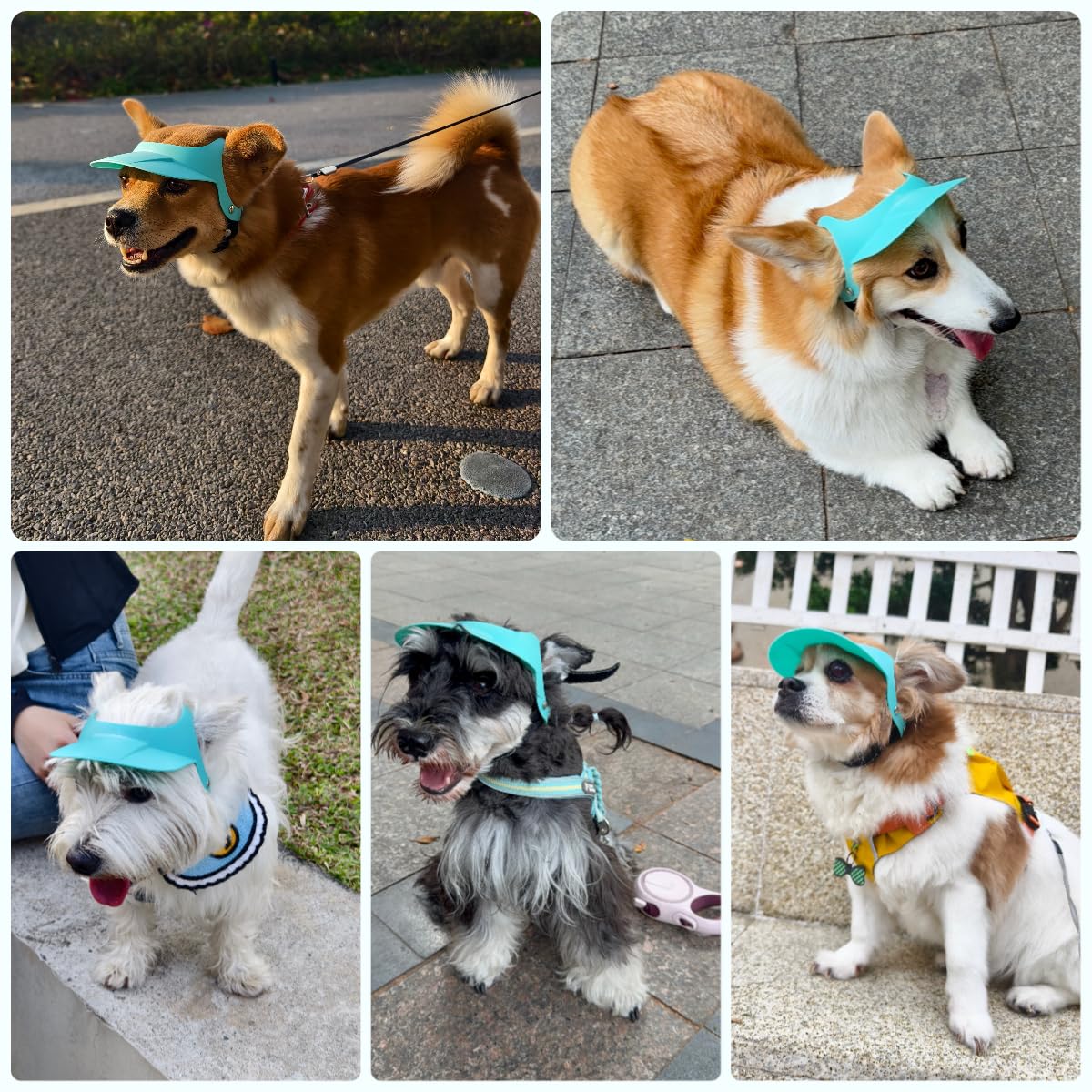 Billionchains Dog Hat For Small Breed Summer Cap With Ear Hole For Beach, Walking, Riding-Blue