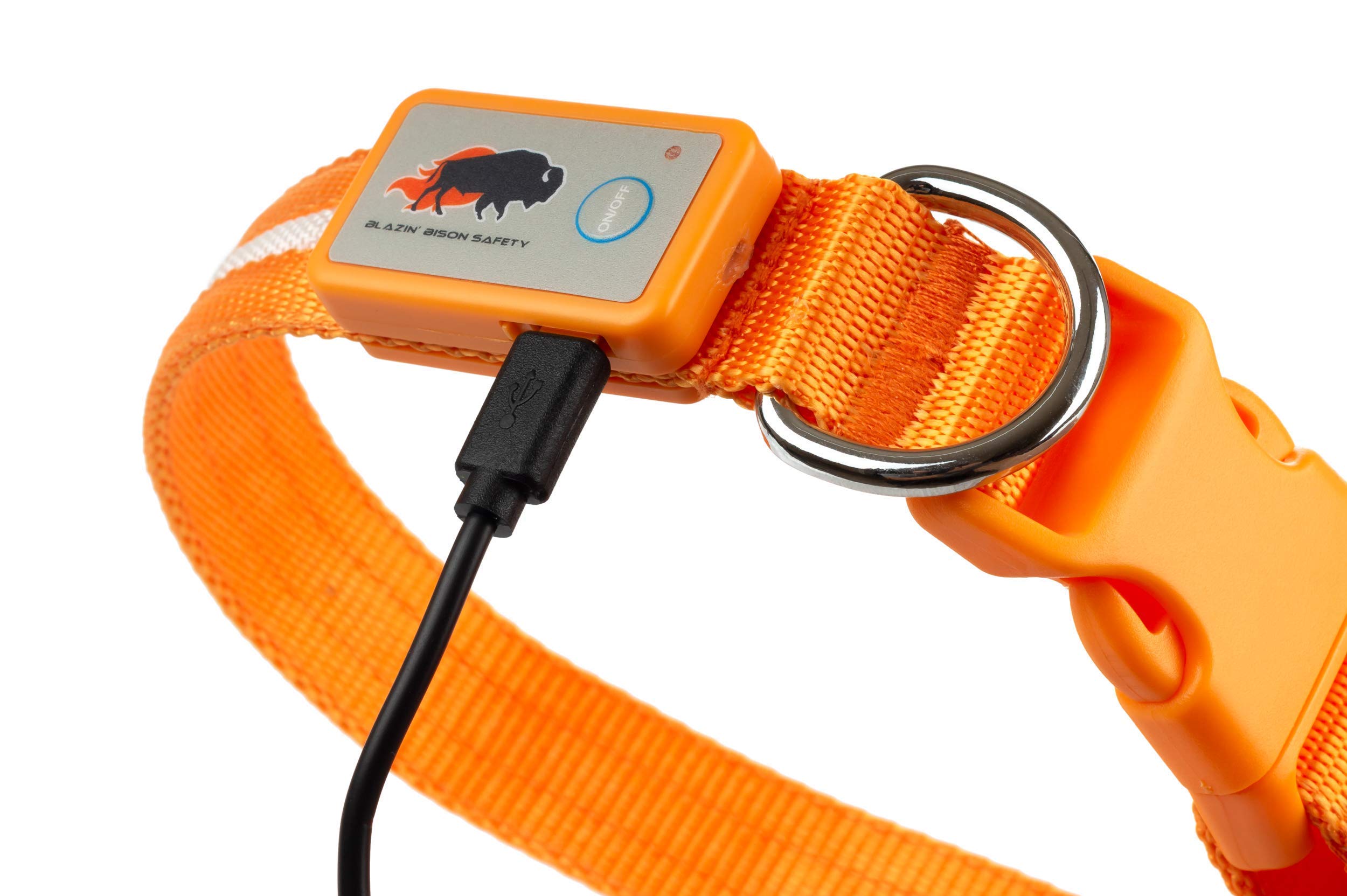 Blazin Led Light Up Dog Collar - 1,000 Feet Of Visibility - Brightest For Night Safety - Usb Rechargeable Waterproof Dog Collar