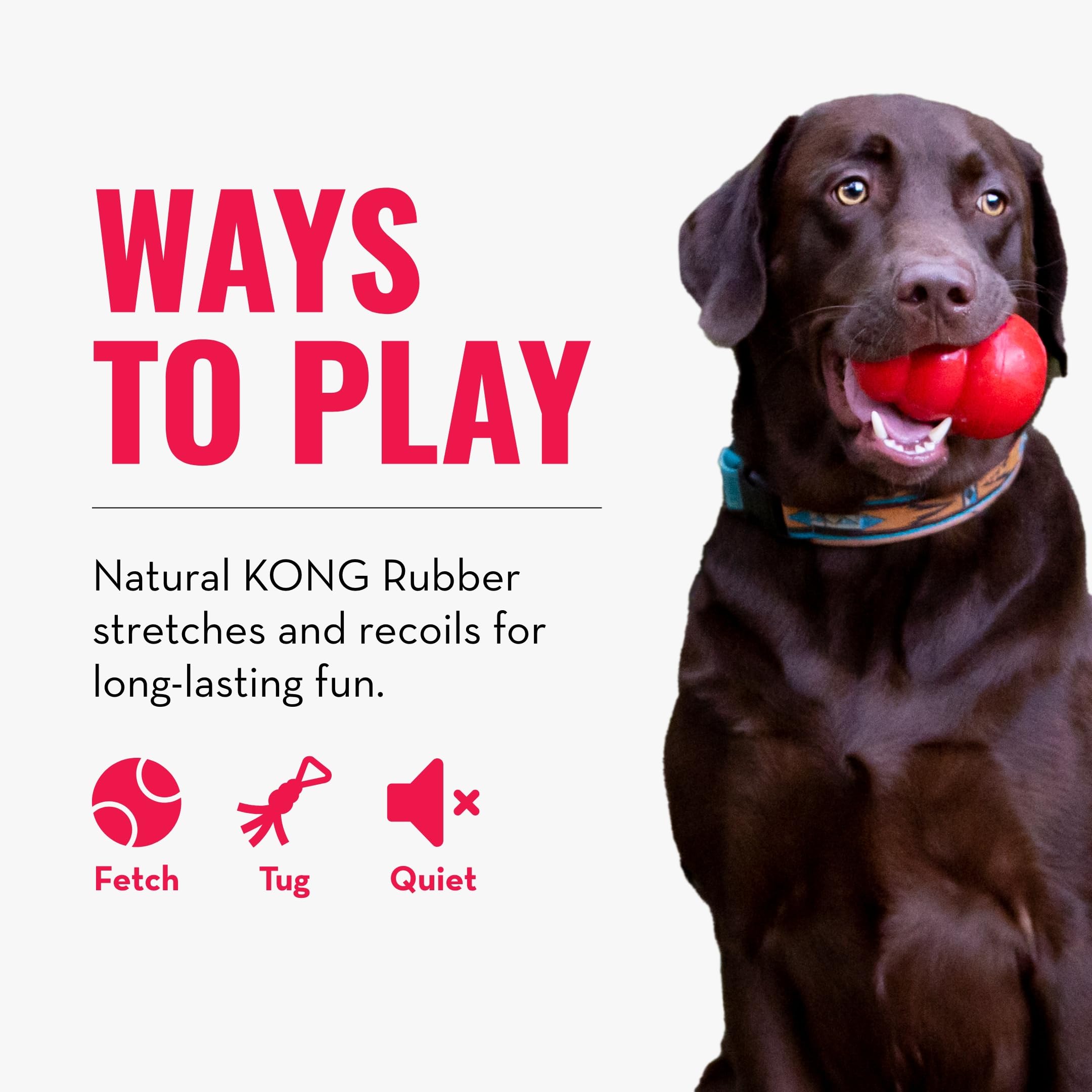Kong Tug Toy - Dog Supplies For Tug Of War - Natural Rubber Dog Toy For Outdoor & Indoor Playtime - For Medium/Large Dogs