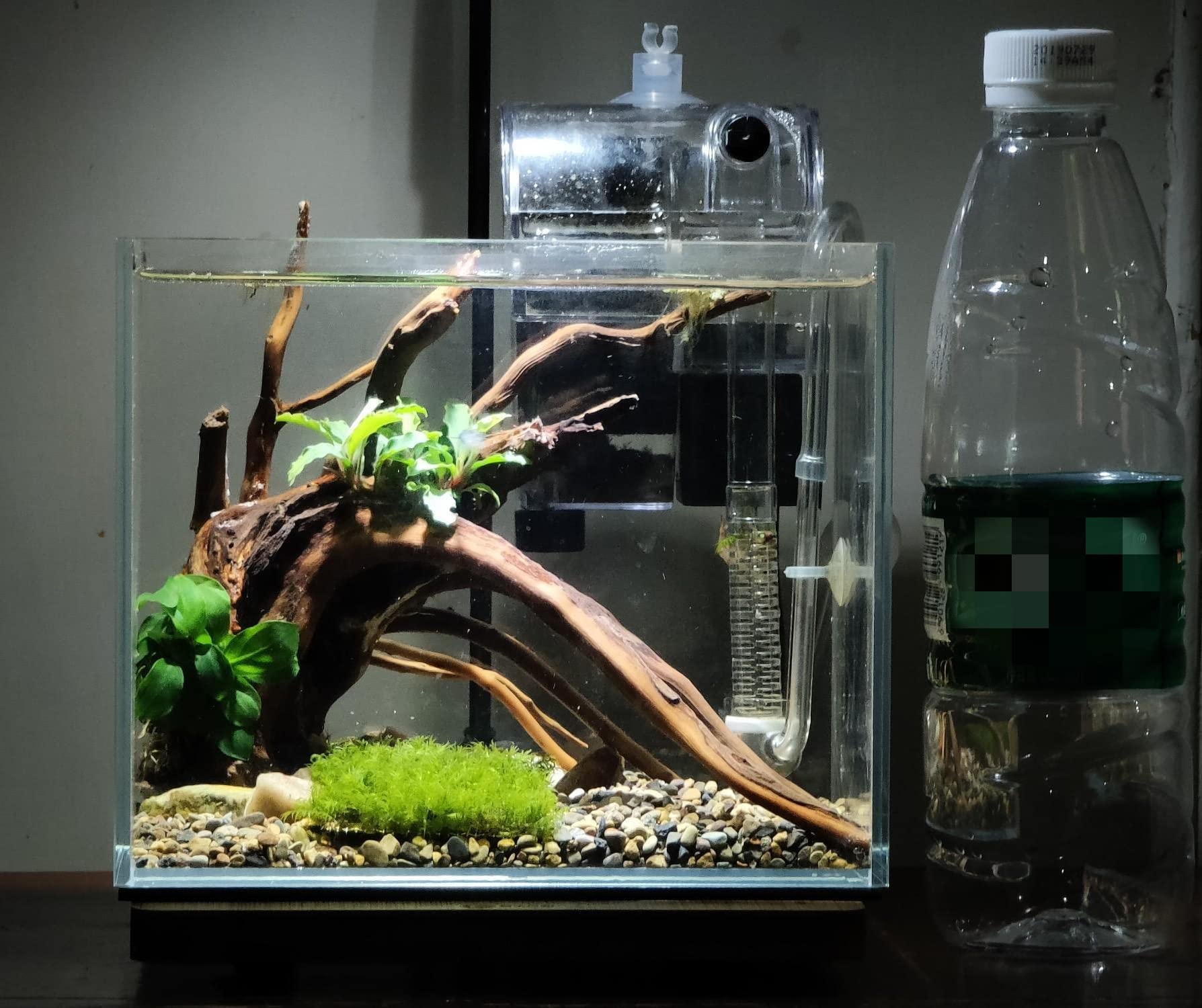Awxzom Small Nano Rimless Tank, Clear Glass Fish Tank, 1.1 Gallon, 7.8X5.5X5.9Inch/20X14X15Cm, Betta Fish Tank