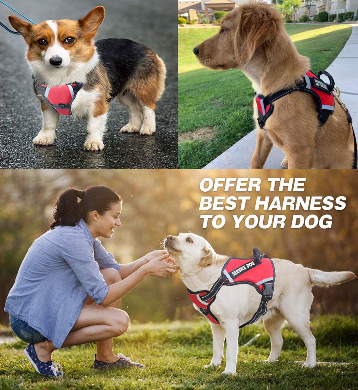 Cymiler Dog Harness,No-Pull Service Dog Harness With Handle,Adjustable Comfort Pet Dog Vest Harness For Outdoor Walking,3M Refle
