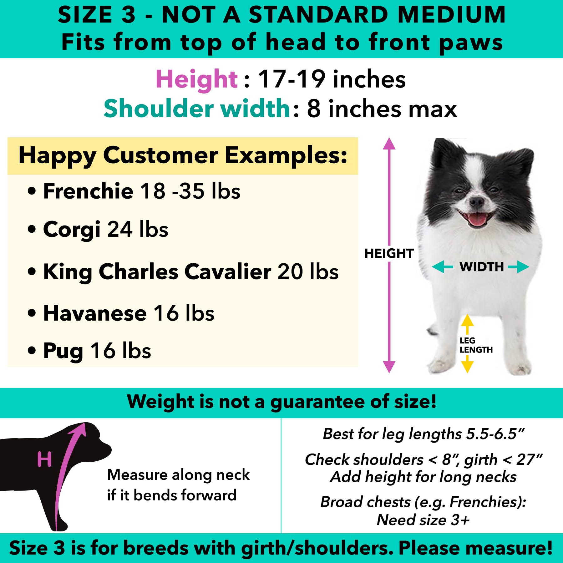 Pandaloon Dog Halloween Costume - Funny Panda Outfit for Small/Medium Dogs & Cats, Size 3 (17-19 in Height, Girth <22 in)