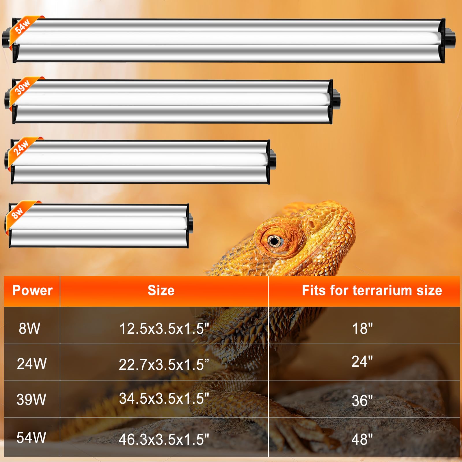 Reptidldb 8W T5 10.0 Uvb Reptile Light Fixture 12'' - High Output Uva Uvb Light For Bearded Dragons, Turtles & Snakes - Compact