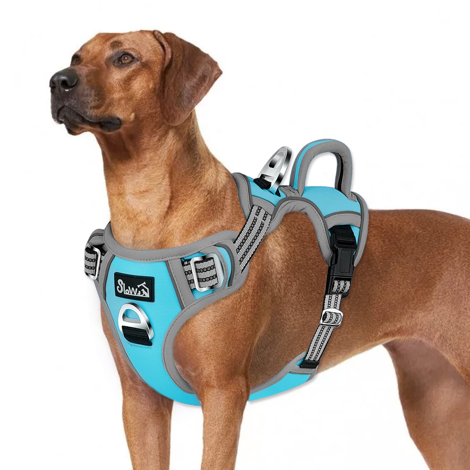 Slowton No Pull Dog Harness, No Choke Pet Harness With 2 Leash Clips And Easy Control Vertical Handle, Adjustable Soft Padded Do
