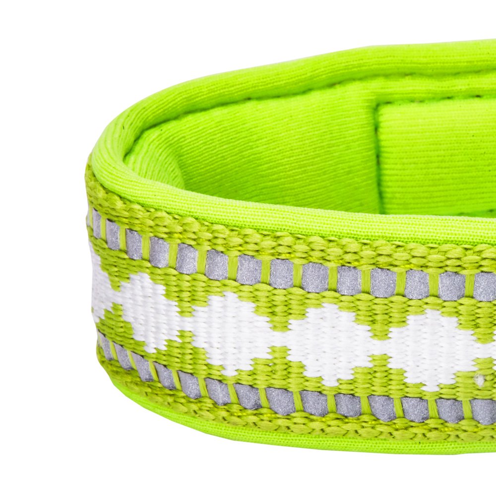 Blueberry Pet Soft & Safe 3M Reflective Jacquard Neoprene Padded Adjustable Dog Collar With Metal Buckle - Macaw Green, Neck 9-1