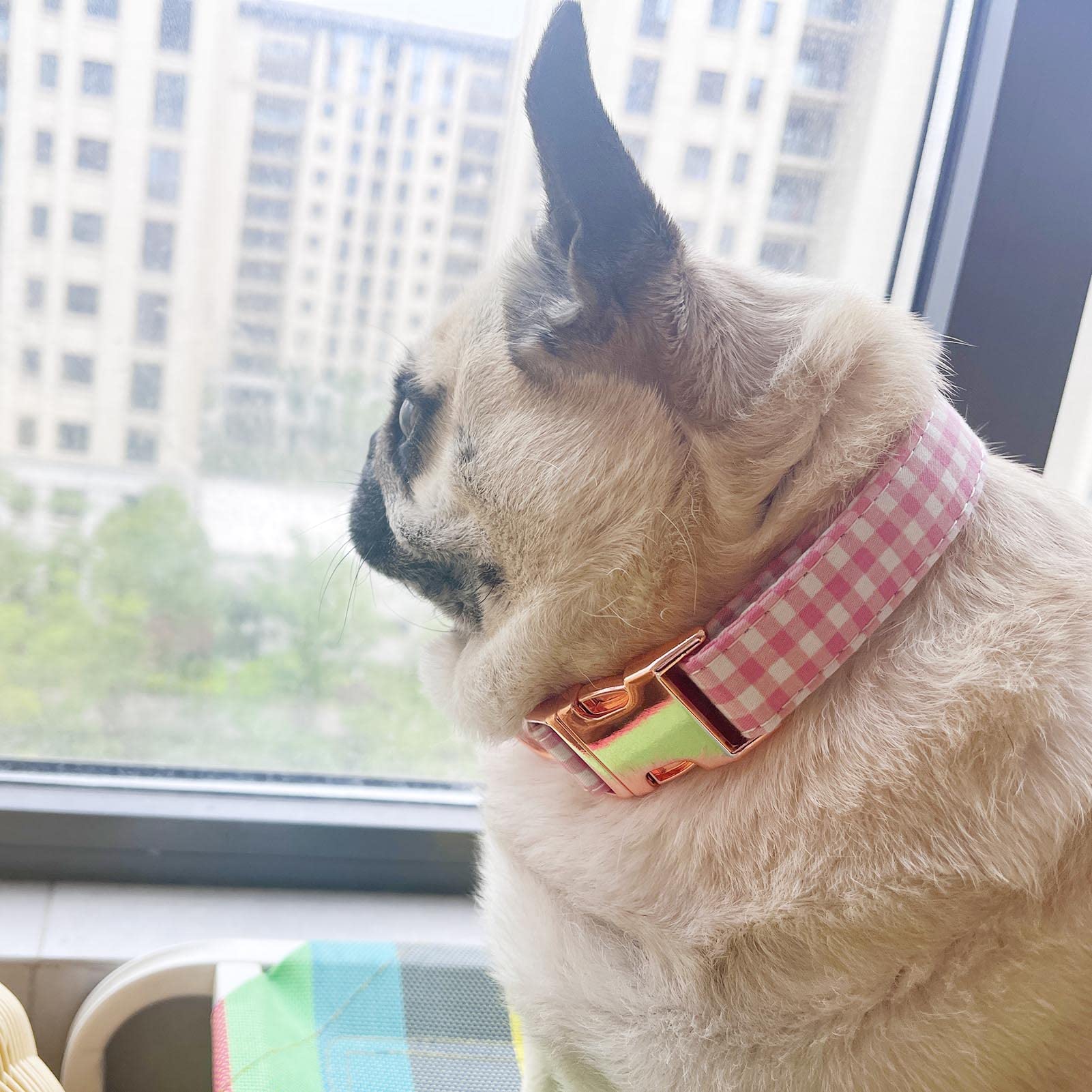 Metal Buckle Dog Collar, Durable Adjustable Dog Collar Soft For Small Medium Large Dogs (Pink Plaid, M(13-18In)