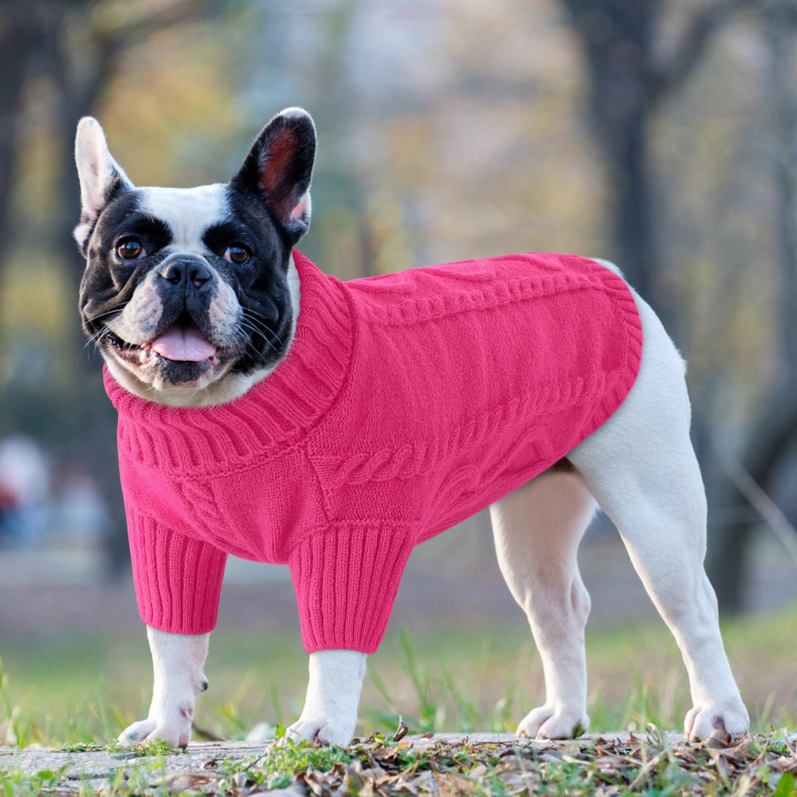 Queenmore Large Warm Sweater For Extra Large Dogs, Chunky Knitted Turtleneck Winter Outfit For Big Doggie Boy Girl (Fuchsia, 2Xl
