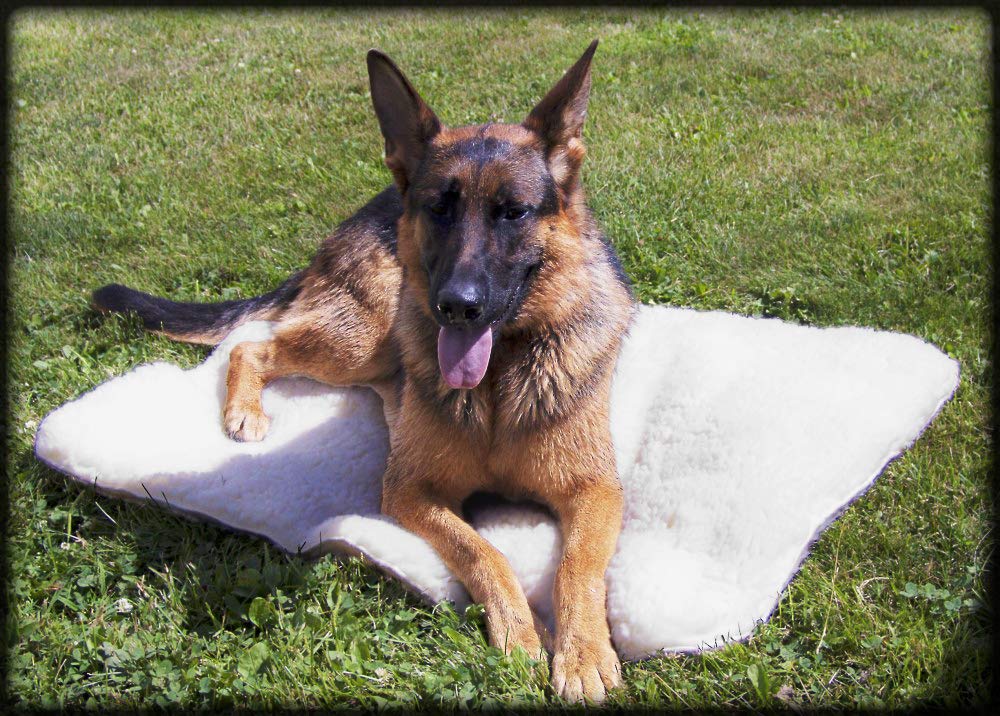 Activedogs Hi Loft Sherpa Faux Lambskin Dog Bed - Small 18''X24'' - Orthopedic & Machine Washable - Double Layered