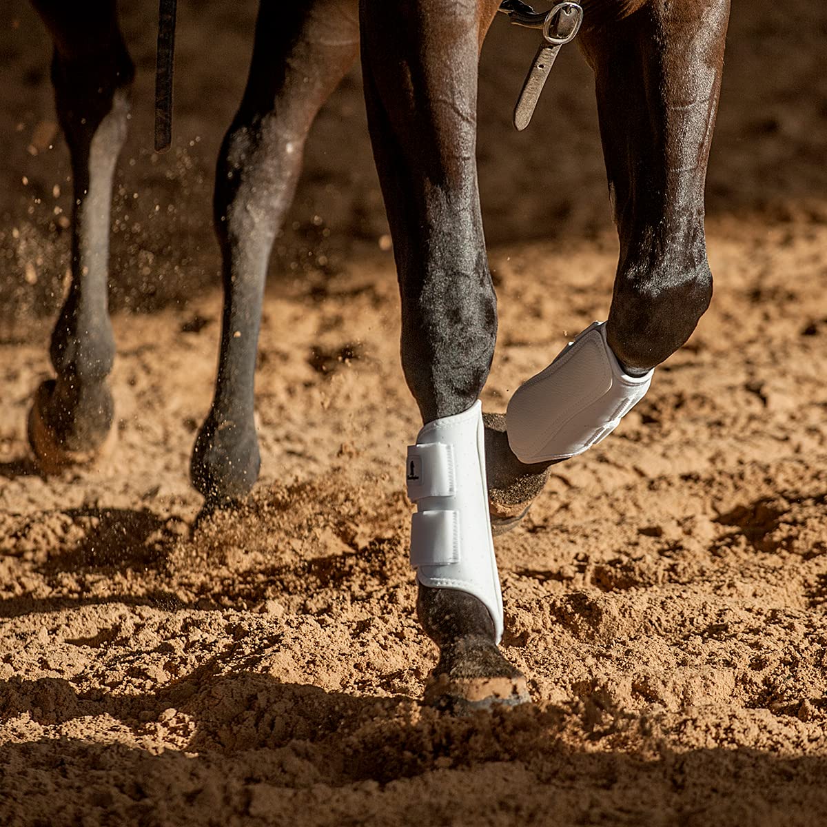 Classic Equine Airwave Classic Front Splint Boots, White, Medium