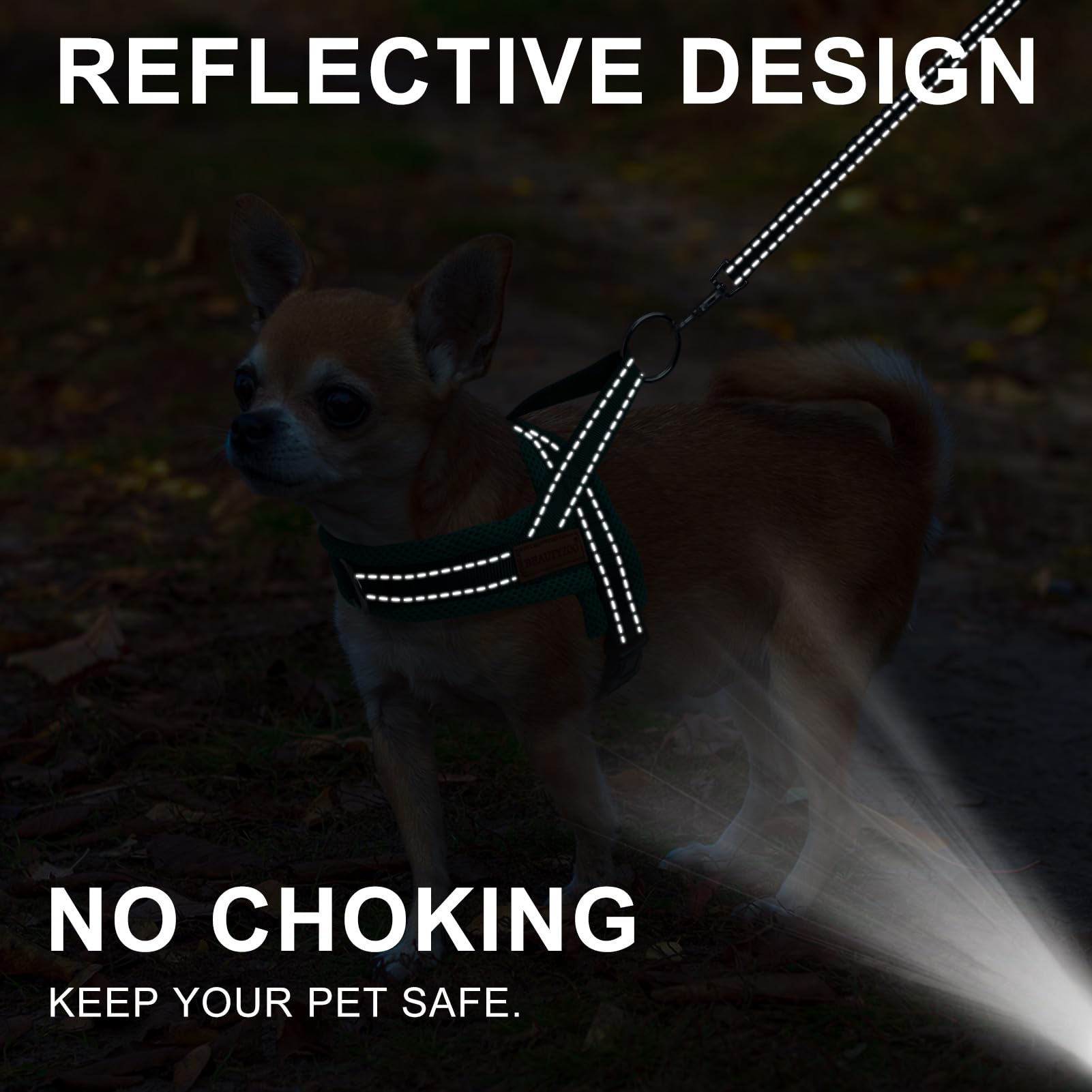 Beautyzoo Dog Harness For Small Dogs, No Pull Dog Harness And Leash Set, Escape Proof Puppy Vest Harness With Handle, Reflective