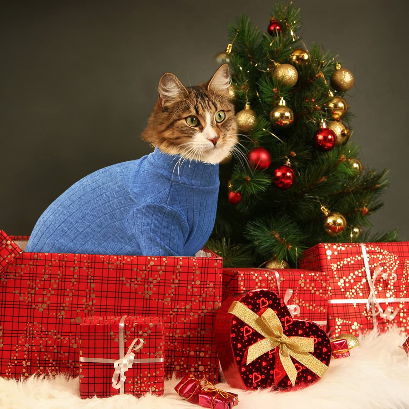 Idepet Sphynx Hairless Cats Sweater Shirt Kitten Soft Puppy Clothes Pullover Cute Cat Pajamas Jumpsuit Skin-Friendly Cotton Apparel Pet Winter Turtleneck For Cats And Small Dogs(X-Large, Blue)