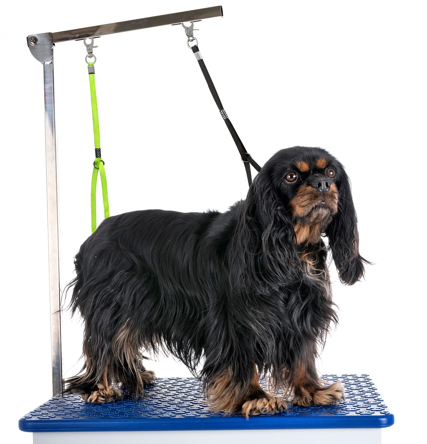 Pet Dog Grooming Loop, Nylon Restraint Noose Adjustable Fixed Dog Cat Safety Tether Straps Dog Grooming Supplies For Pet Grooming Table Bathtub (2 Pack)