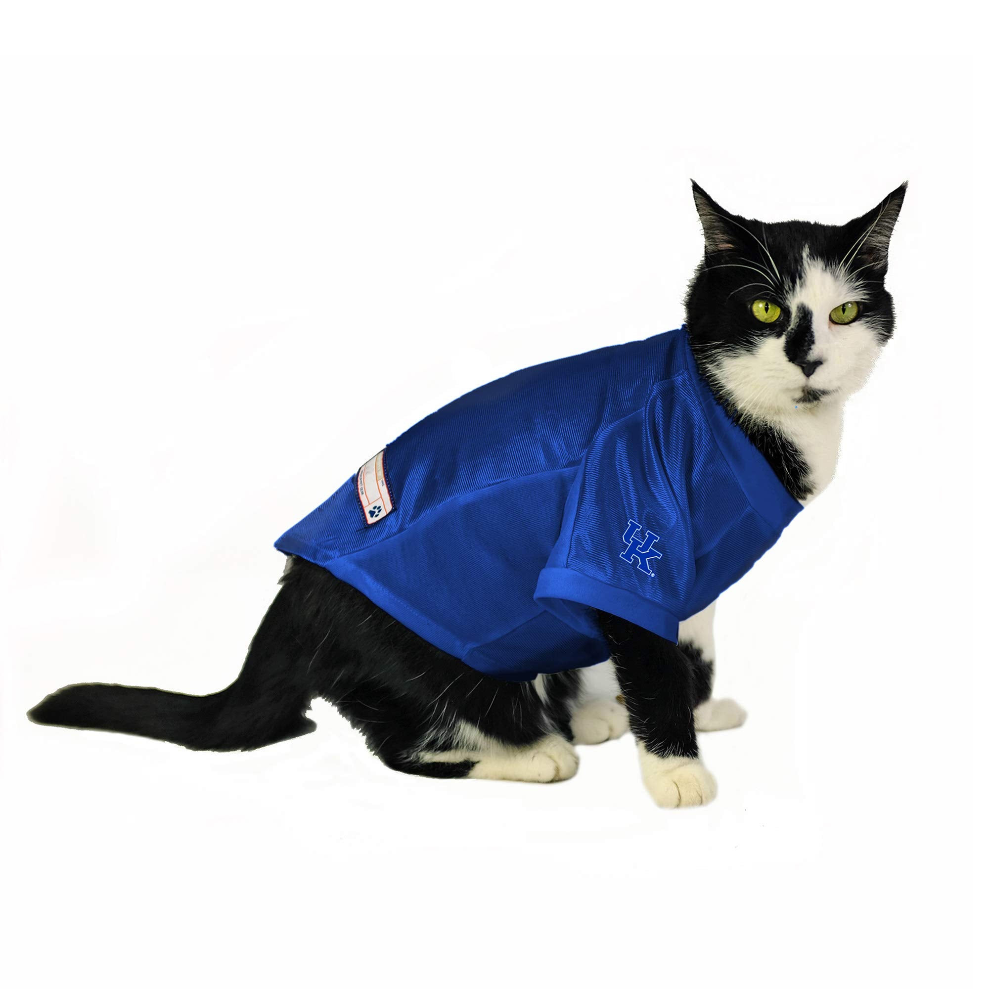 Kentucky Wildcats Pet Jersey Stretch Size Xs - Special Order
