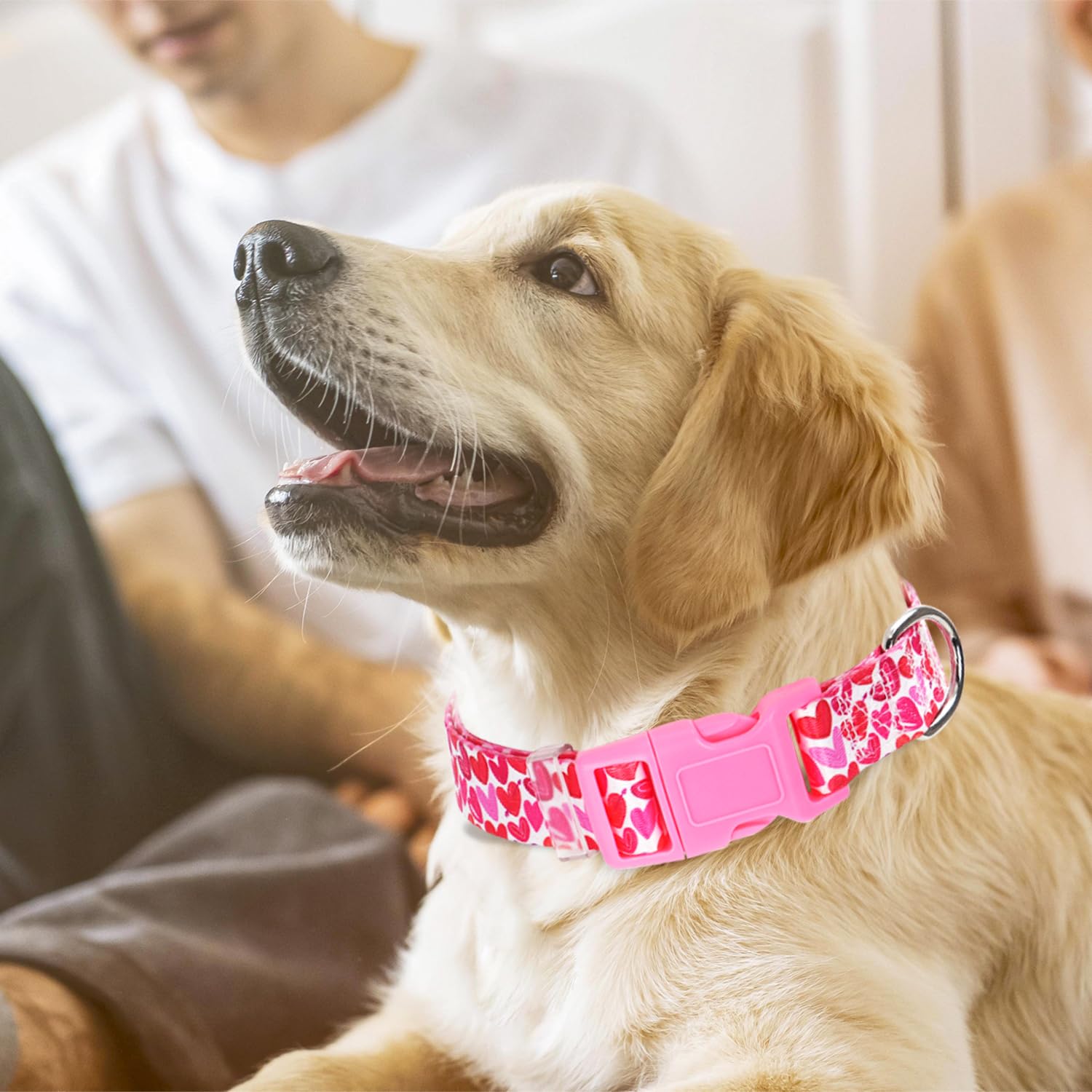 Pink Dog Collar For Puppy Dogs With Love Heart Patterns For Girl & Boy Dogs, Cute Dog Collar Adjustable Heavy Duty Collar With Q