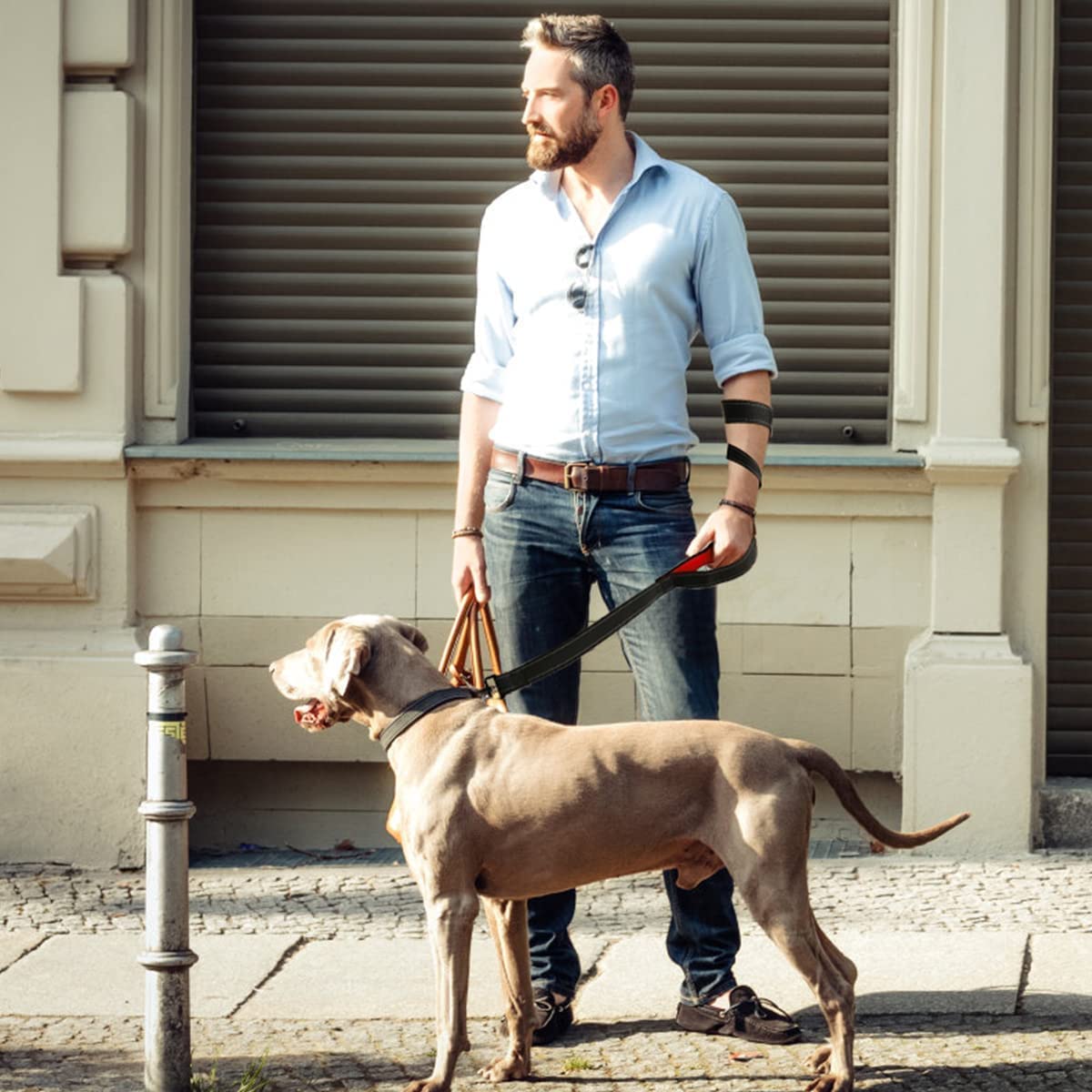 Heavy Duty Dog Leash With 2 Handles - 6Ft Reflective Anti-Pull Leash For Large Dogs, Padded Traffic Handle For Control, Durable