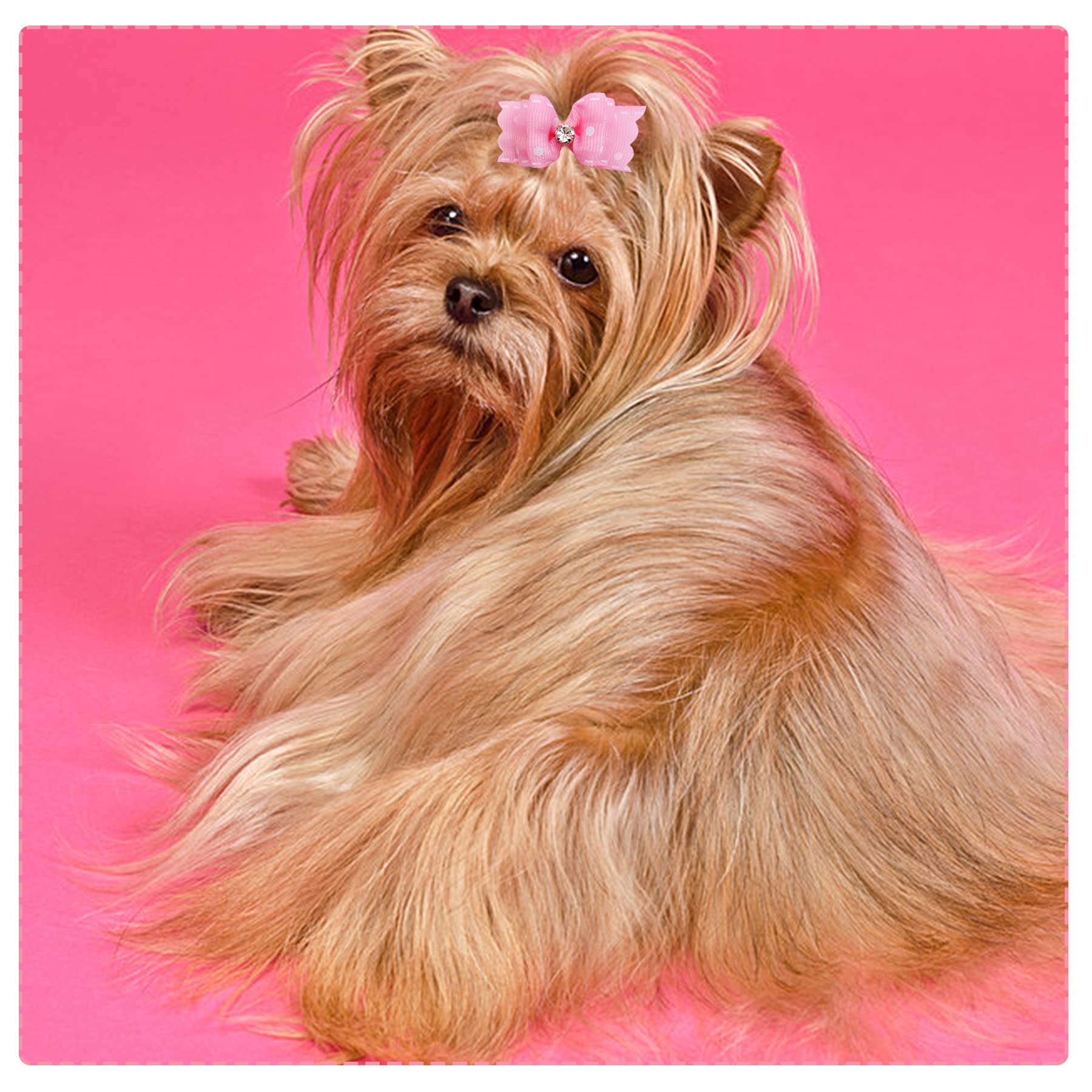 Pet Show Mixed Styles Pet Cat Puppy Topknot Small Dog Hair Bows With Rubber Bands Grooming Accessories Pink Pack Of 20