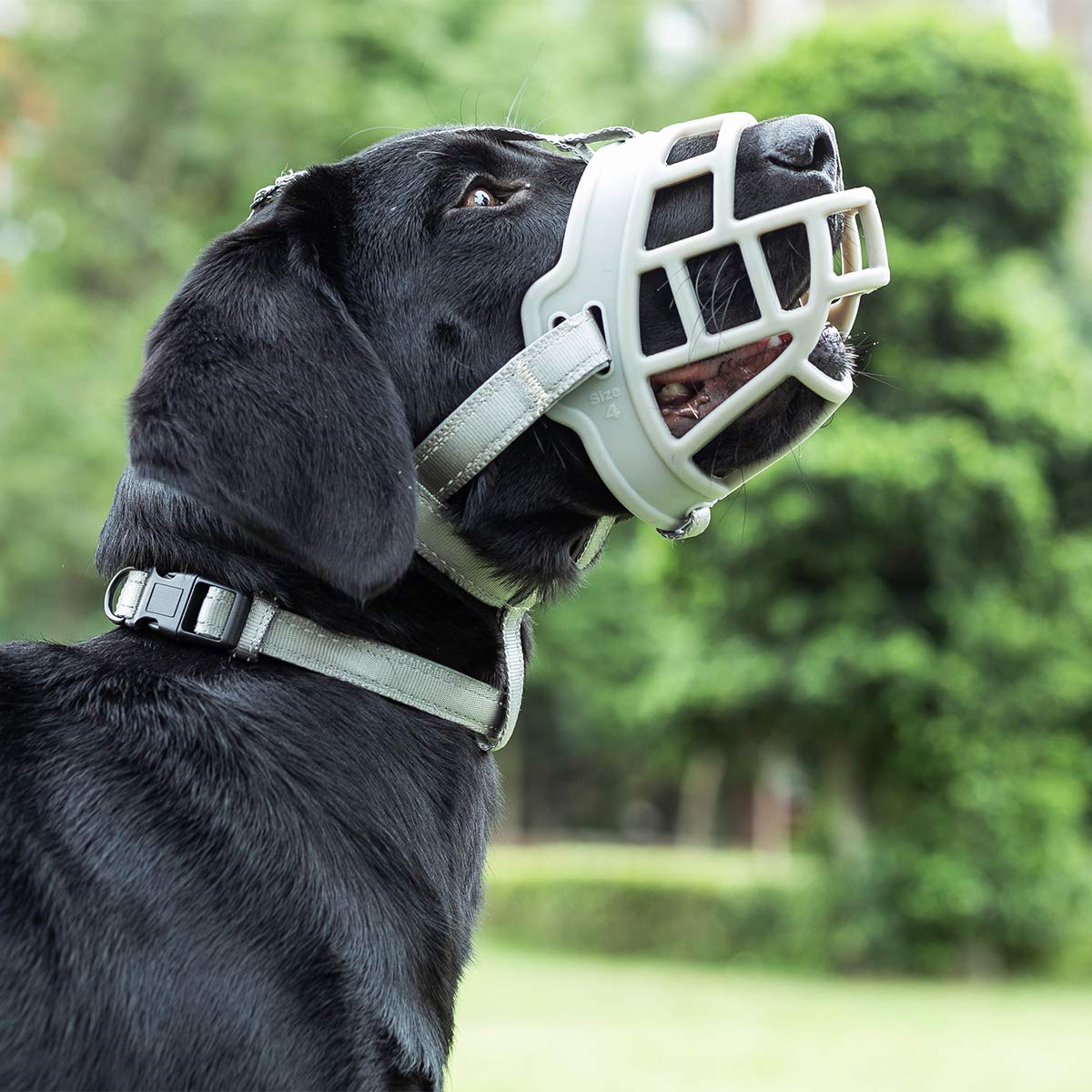 Dog Muzzle, Soft Silicone Basket Muzzle for Dogs, Allows Panting and Drinking, Prevents Unwanted Barking Biting and Chewing, Inc