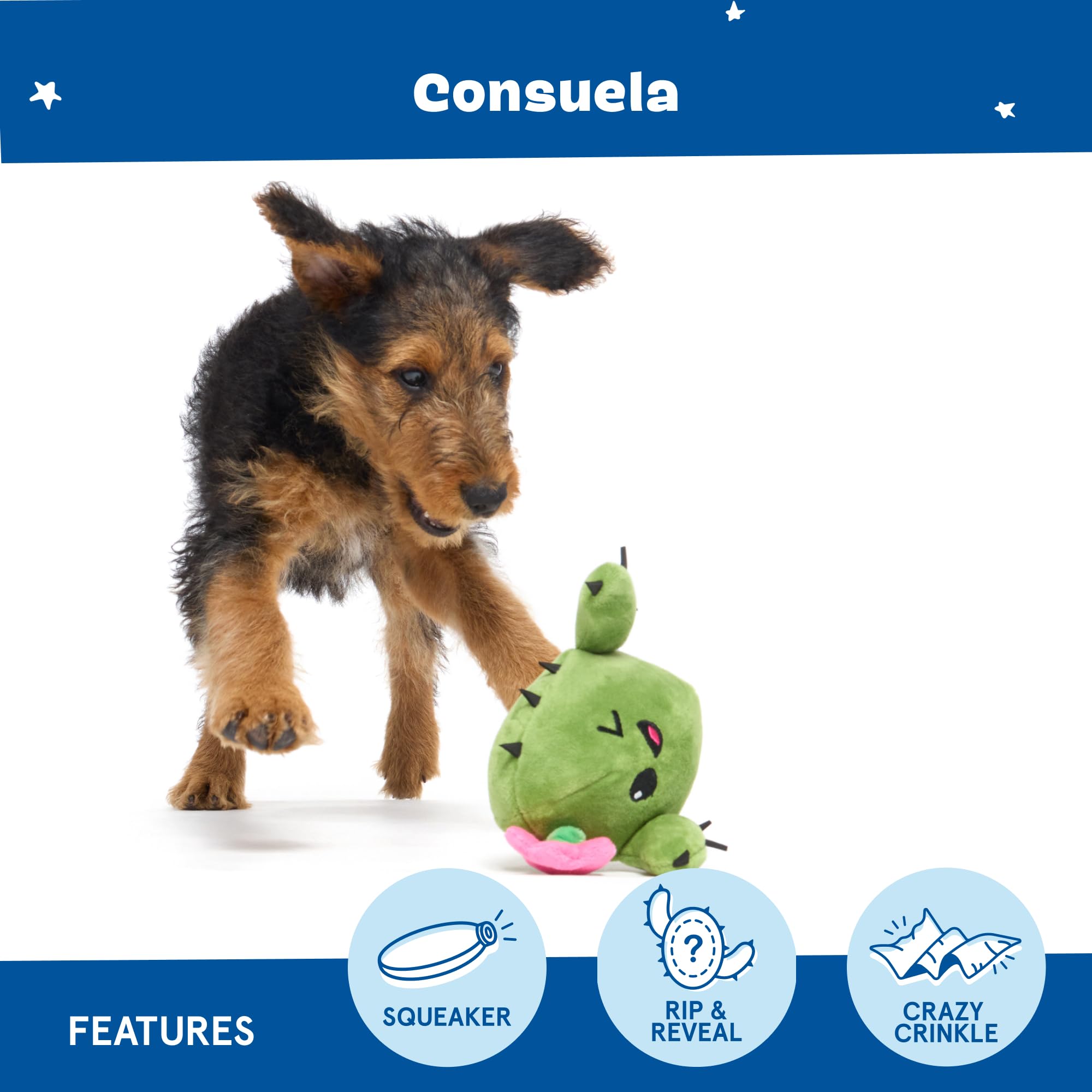 Barkbox 2 In 1 Interactive Plush Dog Toy - Rip And Reveal Toy For Dogs And Puppies - Stimulating Squeaky Pet Toys | Consuela Cac