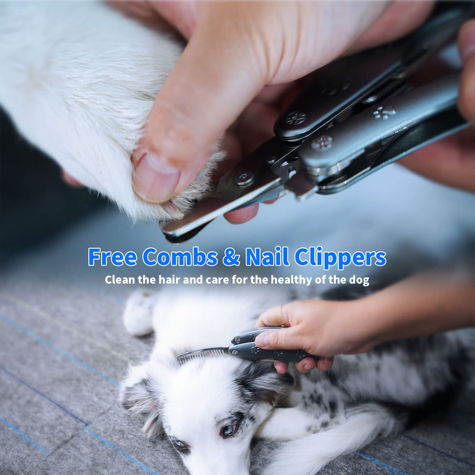 Best Dog Nail Clippers For Anxiety Sensitive Dog, Quiet Sharpest Smoothest Dog Nail Trimmers For Extra Large Medium Small Size Breed, Heavy Duty Metal Dog Nail Cutter For All Dogs With Thick Toenail