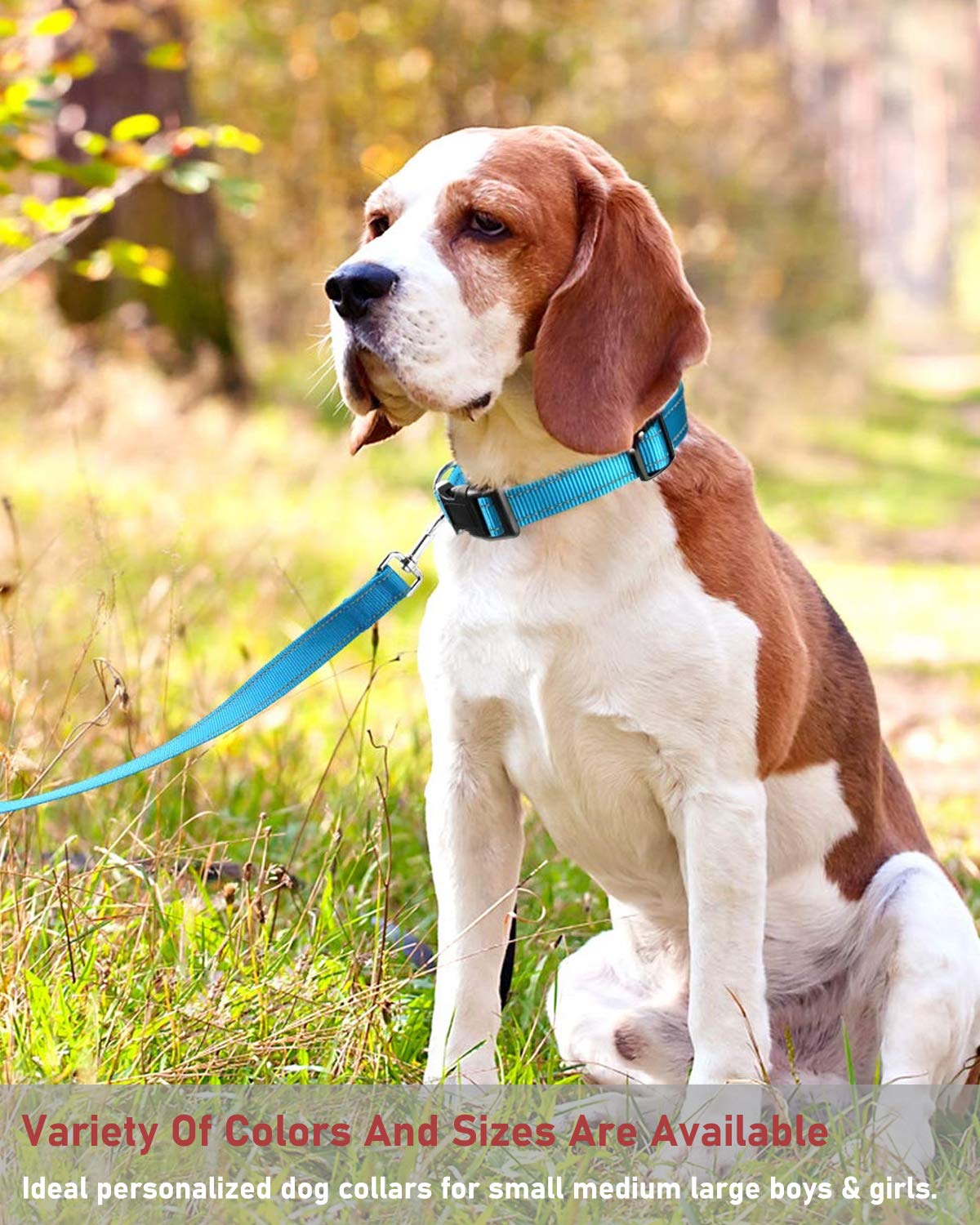 Reflective Dog Collar With Buckle Adjustable Safety Nylon Collars For Small Medium Large Dogs, Blue Xl