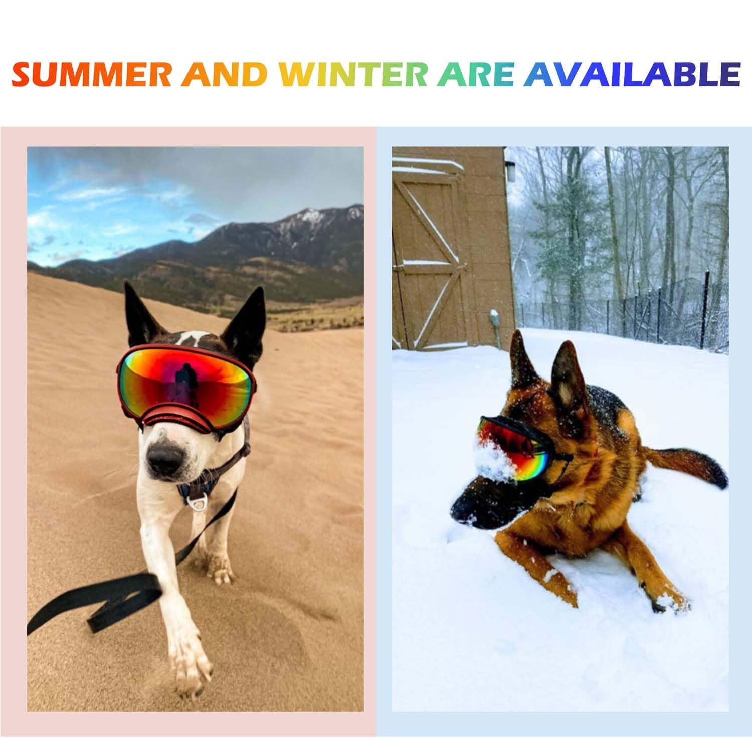 Nicerinc Pet Small Dog Sunglasses With Adjustable Strap Uv Protection, Winproof Dog Puppy Sunglasses, Suitable For Small Dog Pet