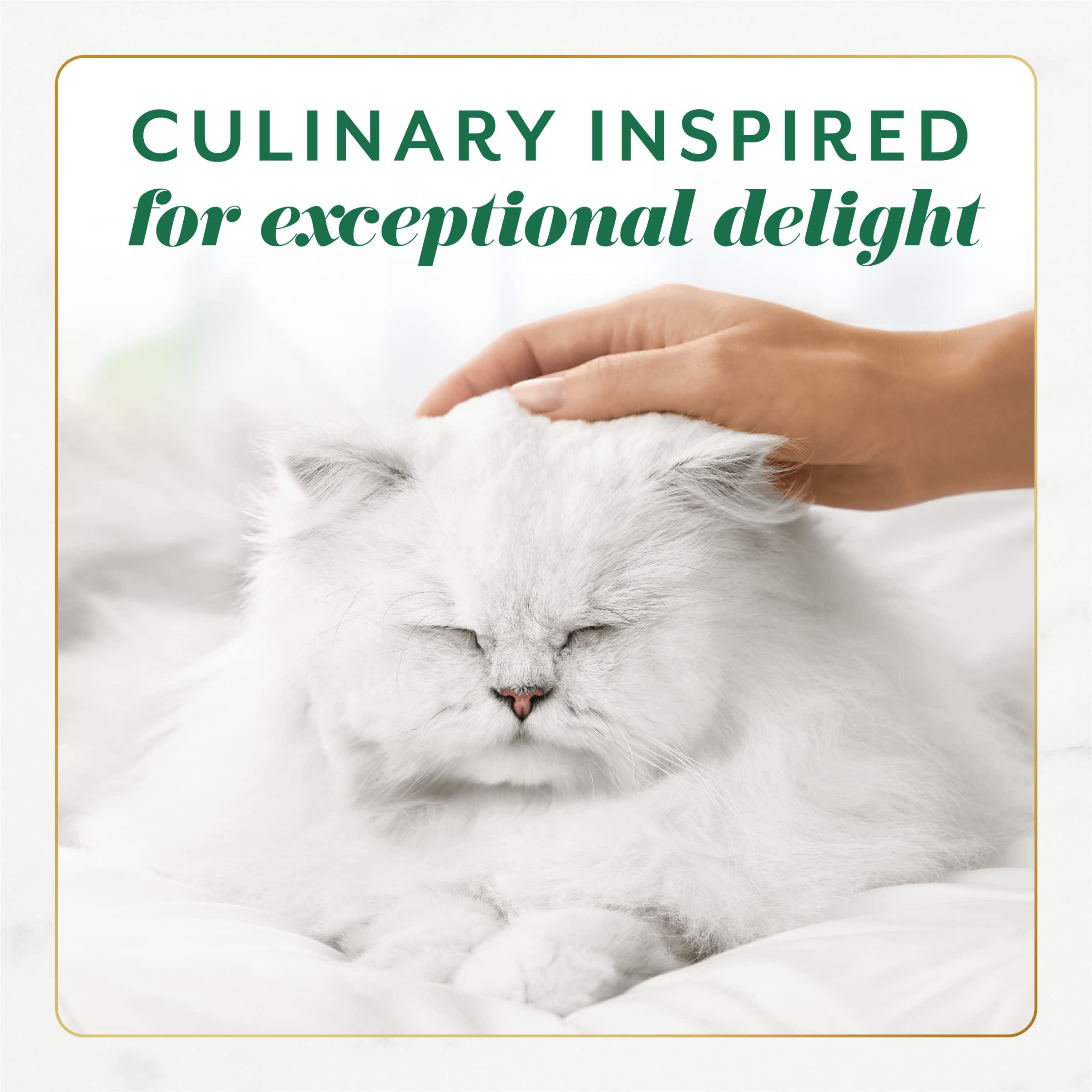 Fancy Feast Gems Pate Cat Food Mousse With Chicken and a Halo of Savory Gravy Cat Food - (Pack of 8) 4 oz. Boxes