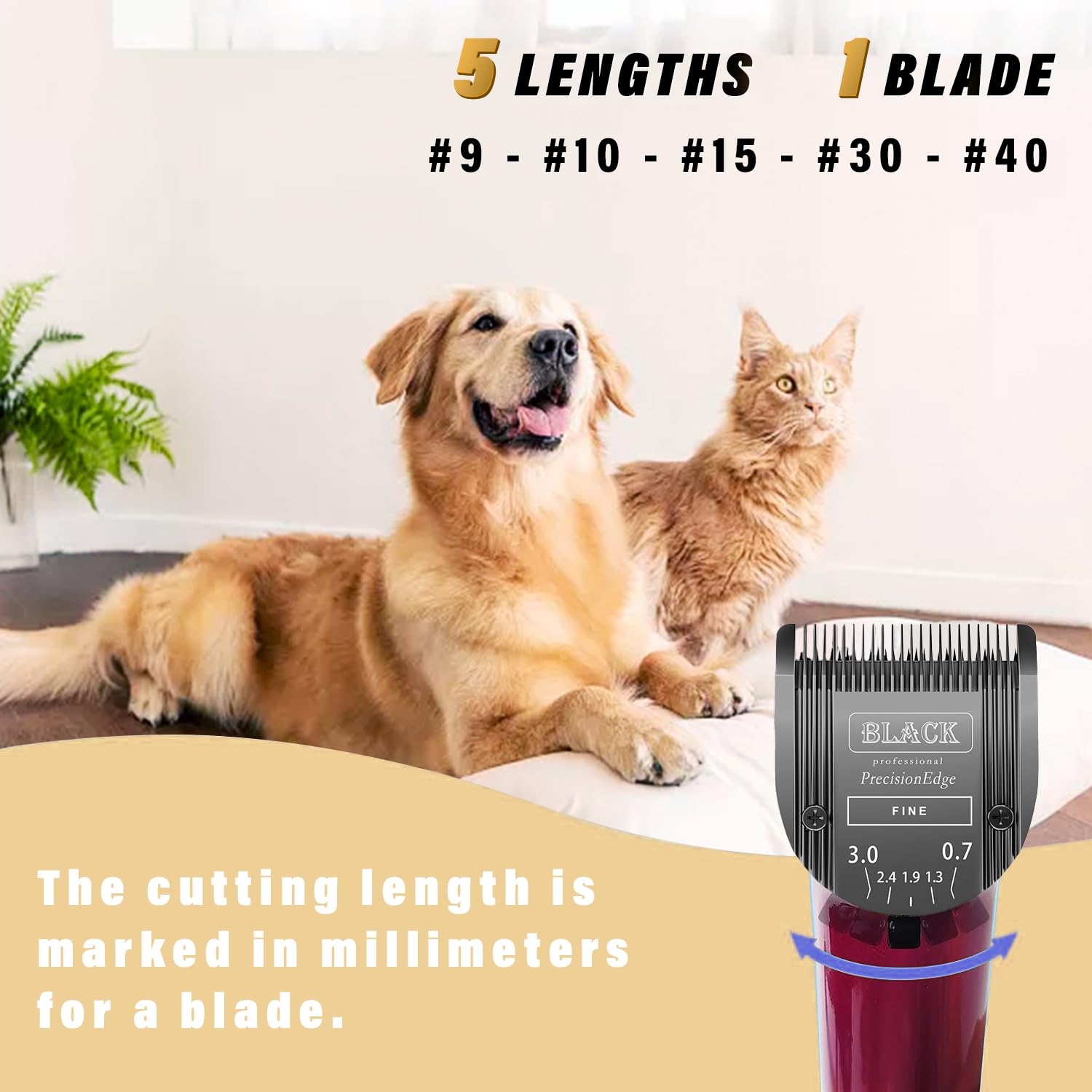 Detachable Adjustable Pet Dog Grooming Clipper 5-in-1 Blade Compatible with WAHL Professional Animal Blade Arco, Bravura, Chroma