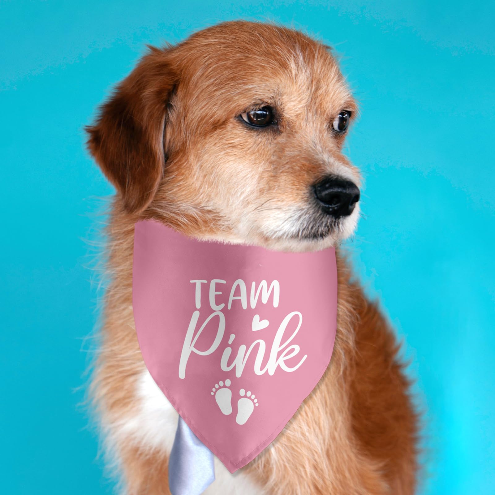 Lmaurrizt Team Pink Dog Bandana Gender Reveal Baby Announcement Dog Bandana Pregnancy Announcement Pet Scarf Pet Accessories For