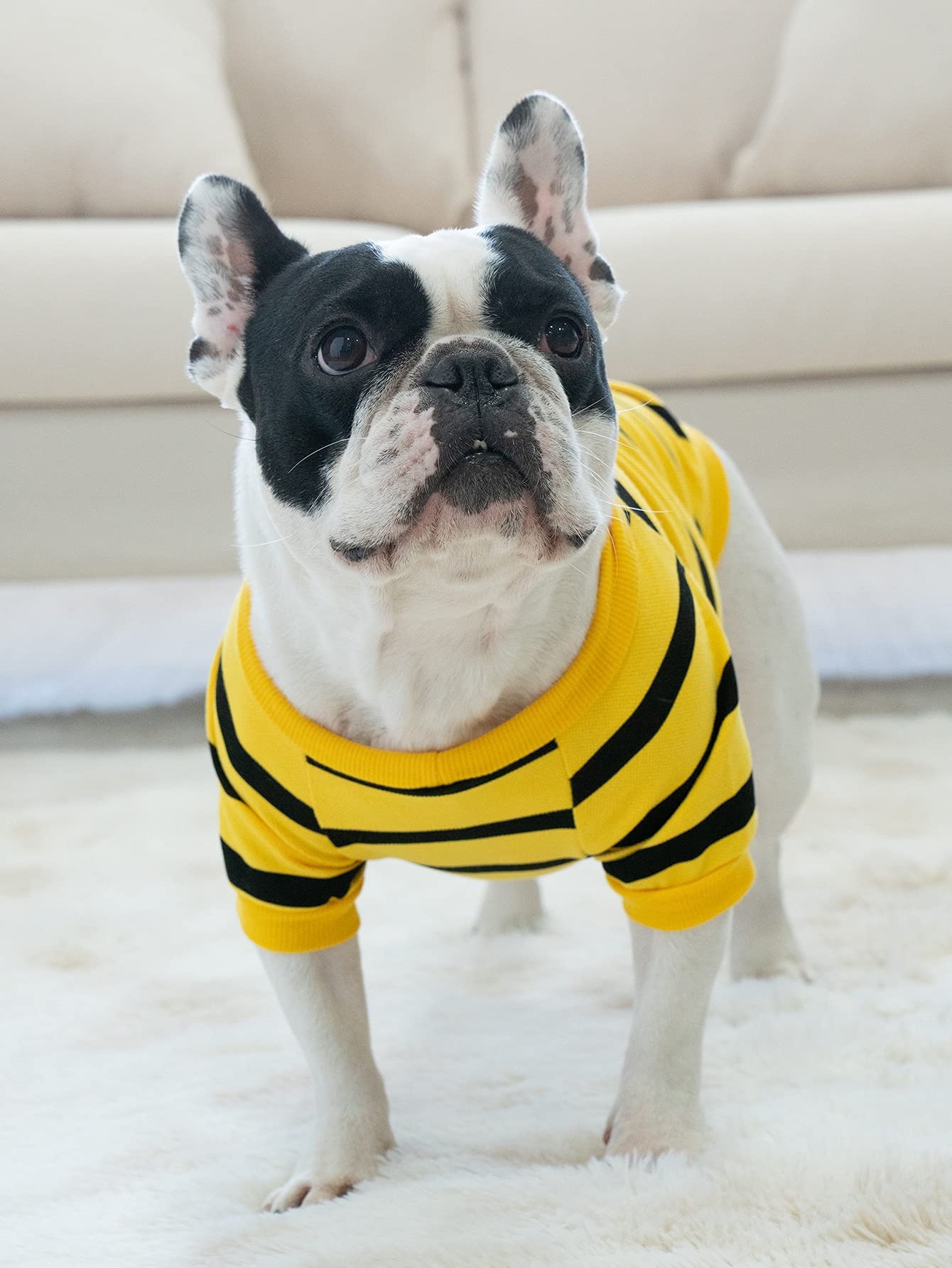 2 Pack French Bulldog Striped T Clothes T-Shirt For Medium Dogs Tee Shirts For Boston Terrier Pitbull Bichon Spring Summer Girl