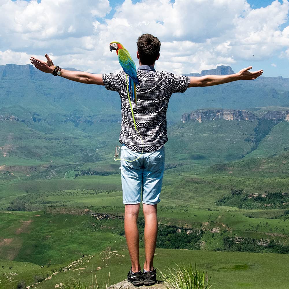 Kcrygogo Large Parrot Bird Harness Leash - Anti-Bite Training Rope with 5 Soft Foot Loops & Whistle - Upgraded Ankle Ring Version