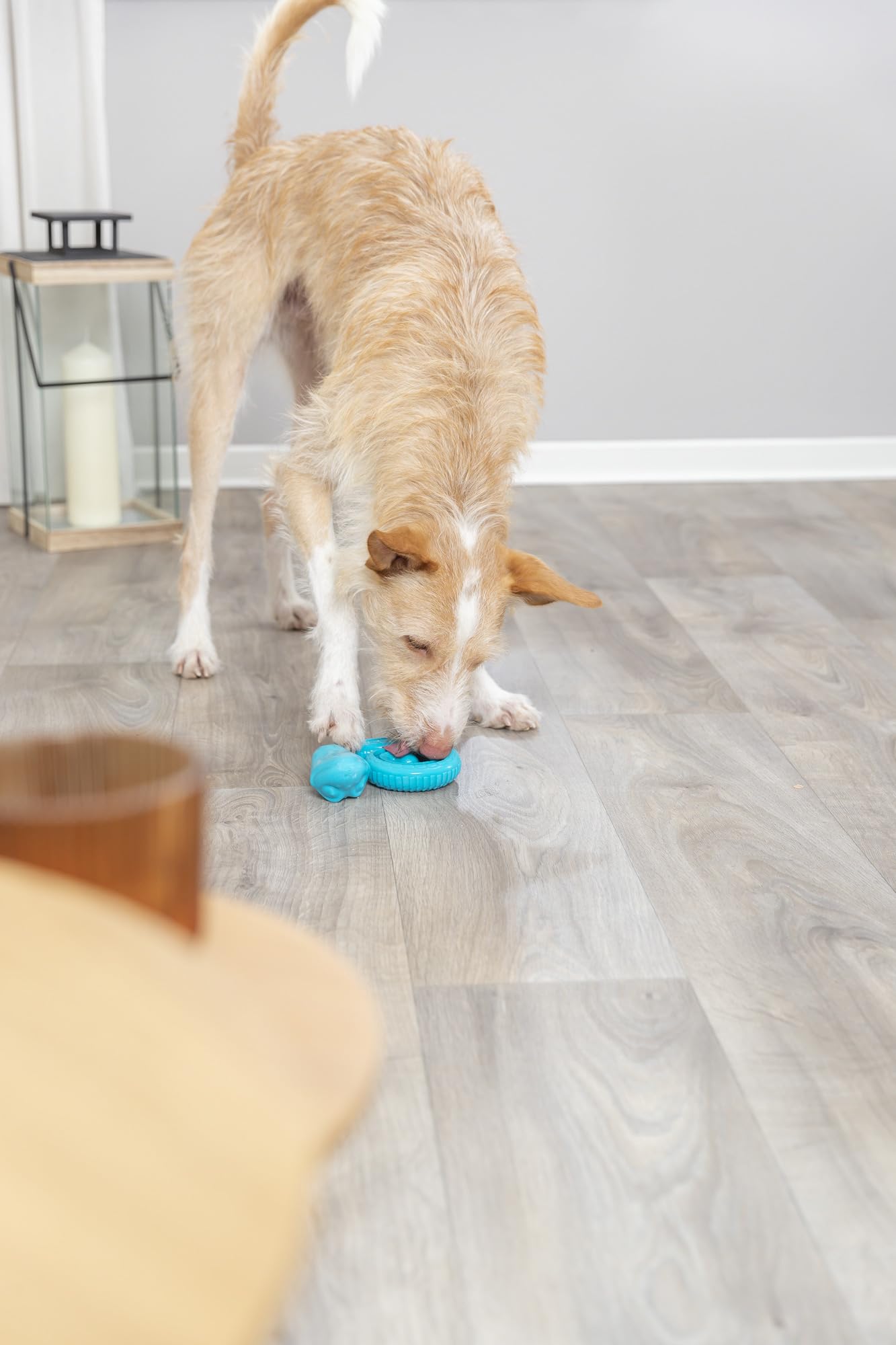 Trixie Snack Coiled Snake Dog Puzzle Toy for Dogs, Dog Enrichment Toy, Interactive Chew Toy, Treat Dispenser, 7'' (18cm)