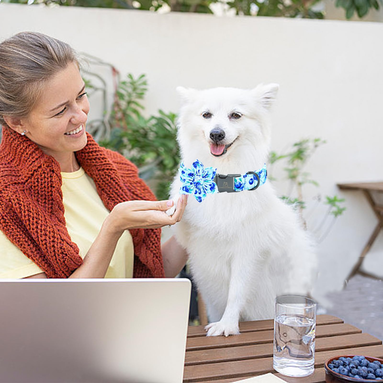 Lionheart Glory Dog Collar With Flower Blueberries Print Collars For Medium Dogs, Spring Summer Cute Duty Adjustable Dog Flowers
