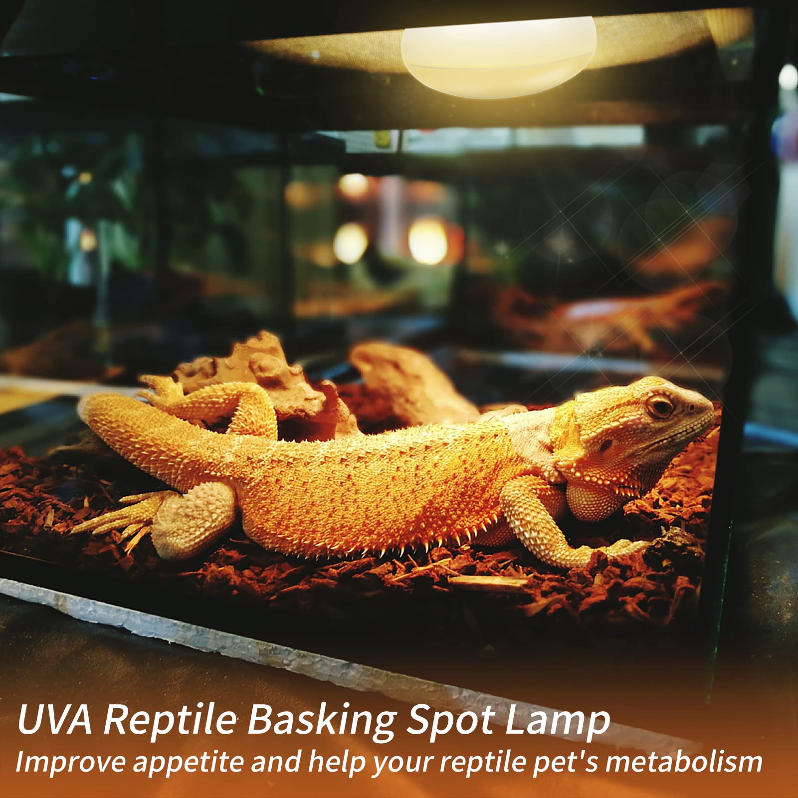 Repti Home New Upgrade Reptile Heat Lamp Bulb (3Rd Gen No Broken), 100W 2 Pack Basking Spot Light For Reptiles & Amphibians,Uva