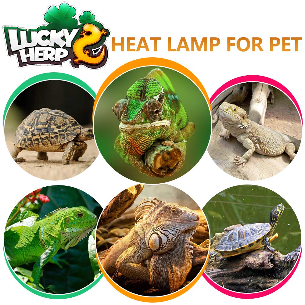 Lucky Herp 125 Watt Uva+Uvb Mercury Vapor Bulb High Intensity Self-Ballasted Heat Basking Lamp/Bulb/Light For Reptile And Amphibian