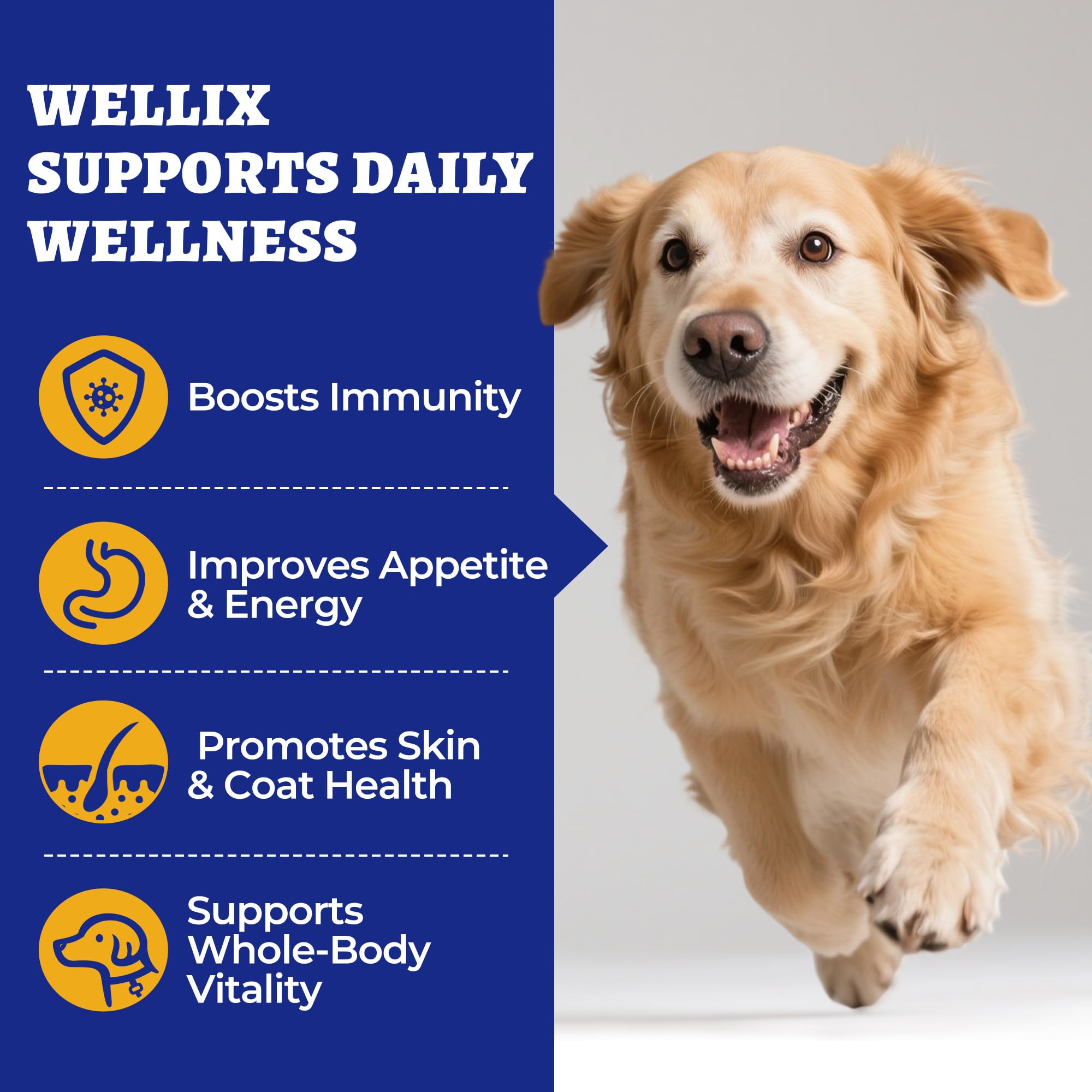 260 Bites Wellix 10-in-1 Dog Vitamins - Multivitamin for Dogs Immune Supports, Antioxidants, Boost Hip & Joint, Skin & Coat, Liv