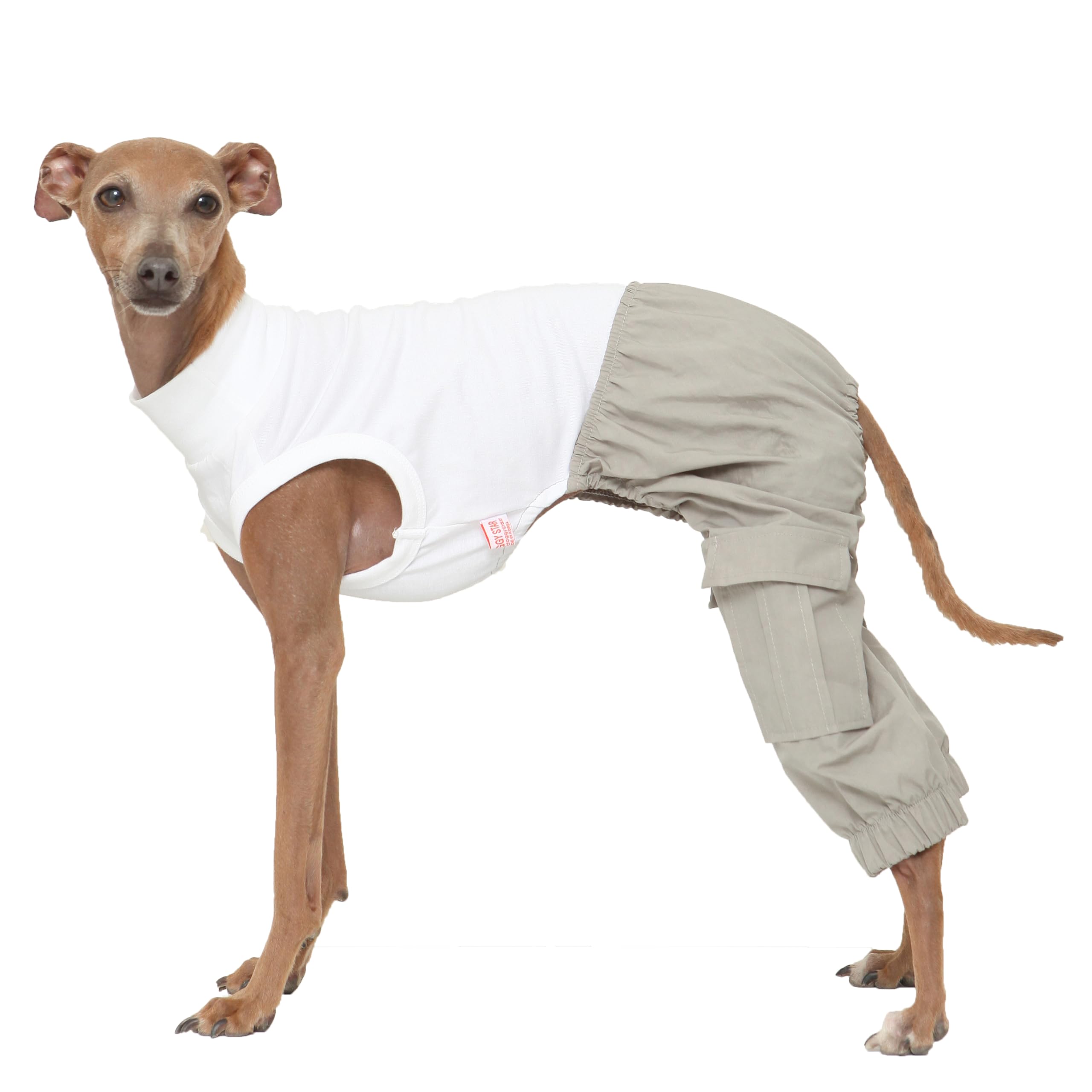 D DOGGY STAR Italian Greyhound Clothes Cargo Pants Onesie Outfit Whippet for Dog Coat (S,Grey Cargo)